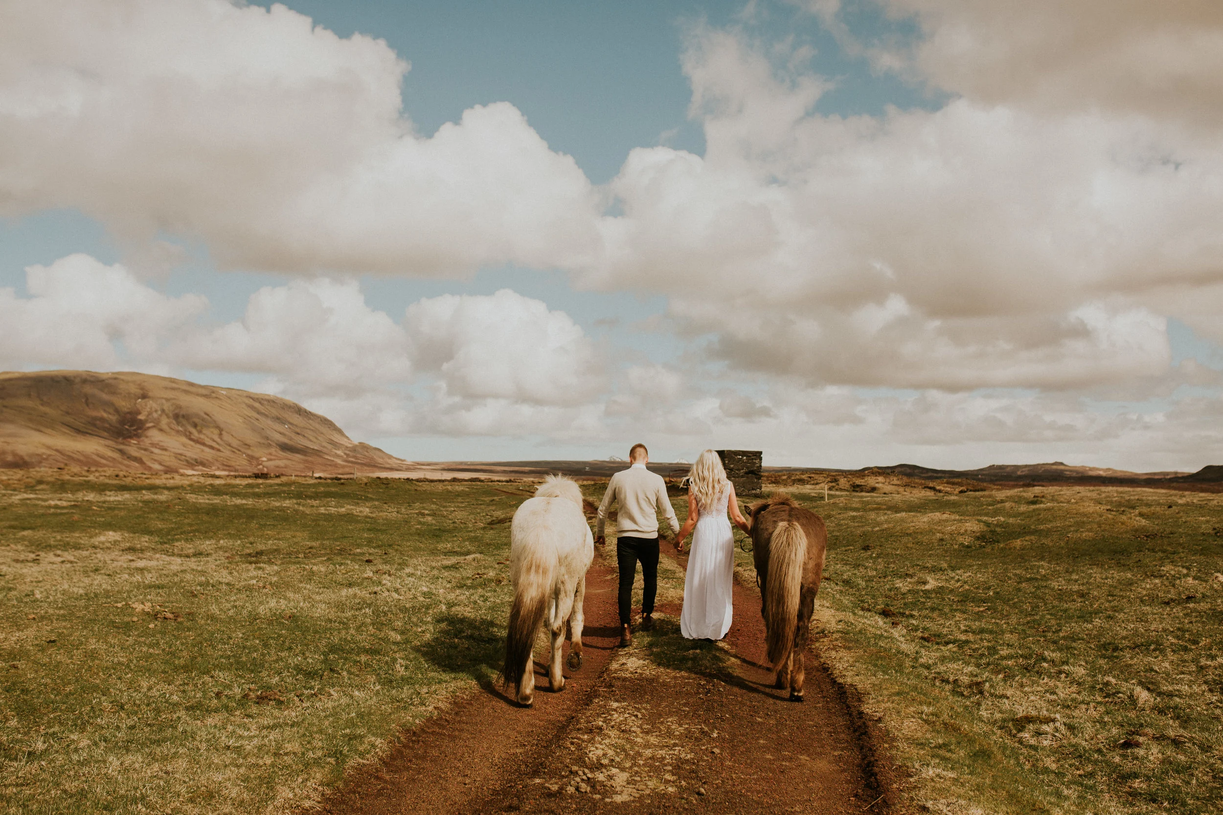 iceland couple horse farm elopement photography 