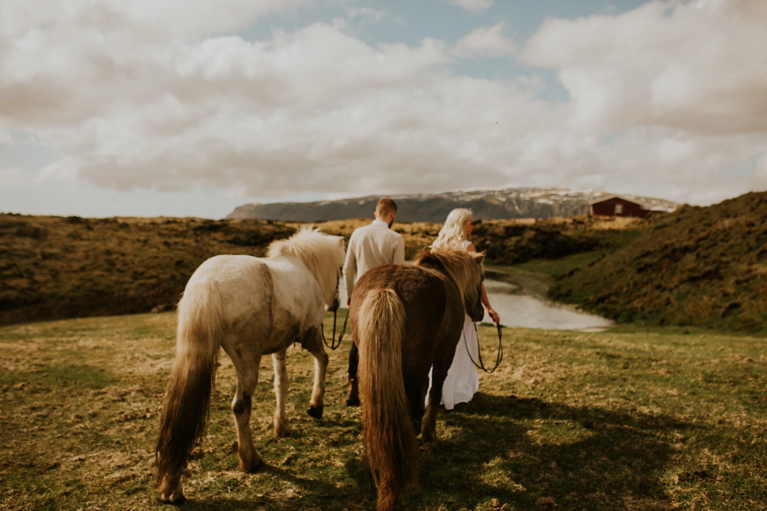 iceland horse farm elopement photographer&nbsp;