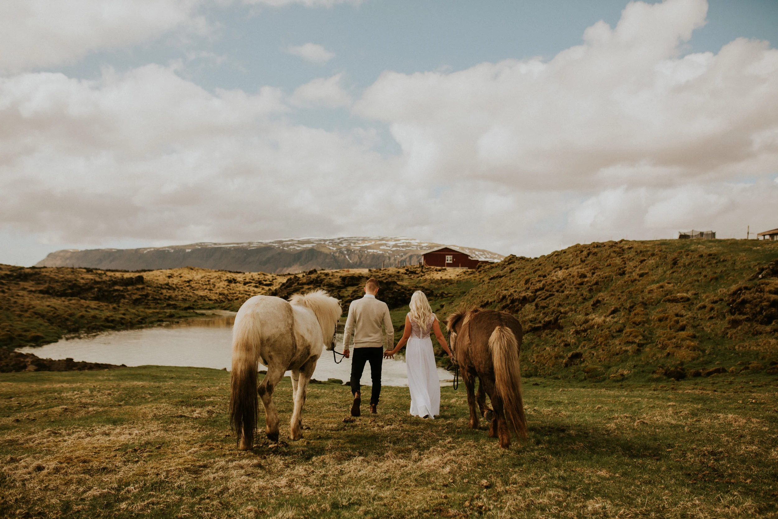 iceland wedding photographer horse farm elopement&nbsp;
