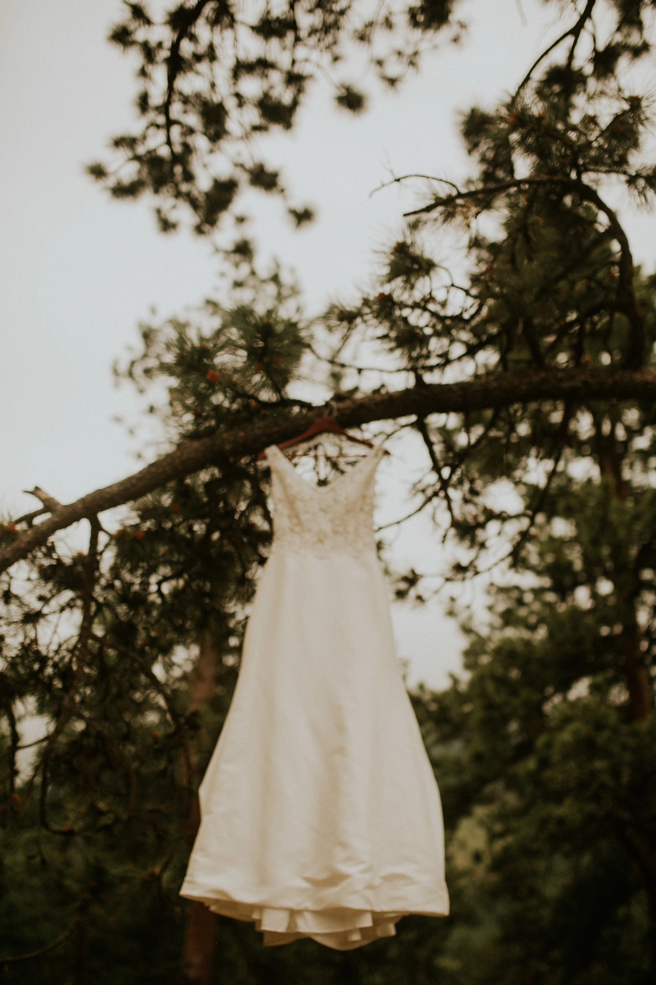 estes-park-bear-lake-elopement