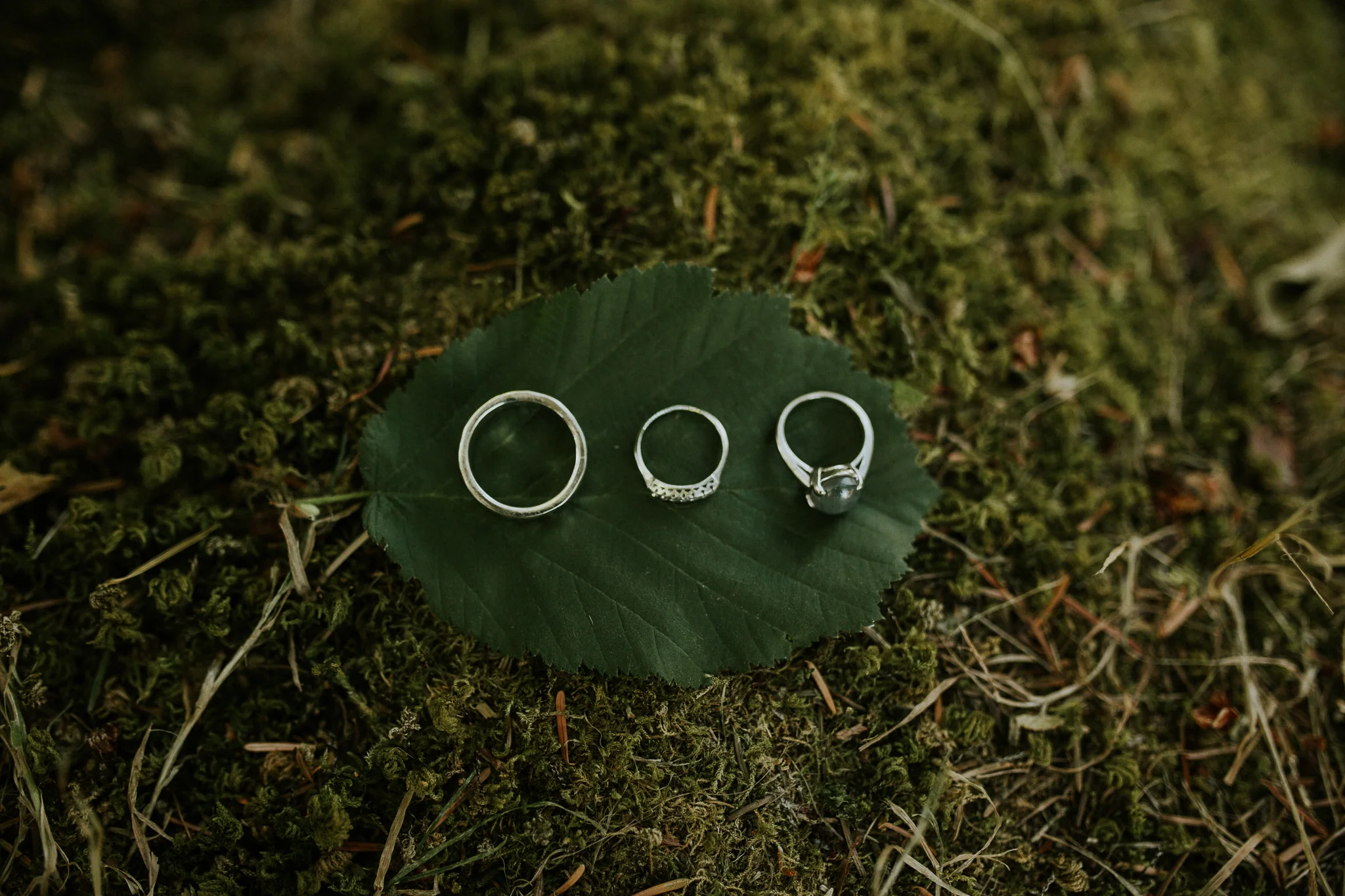 Pnw elopement photographer, pnw wedding photographer, pnw intimate wedding, Seattle elopement photographer, oregon intimate wedding photographer, Eugene Oregon elopement, Seattle parson’s gardens elopement, painted hills elopement, olympic national …