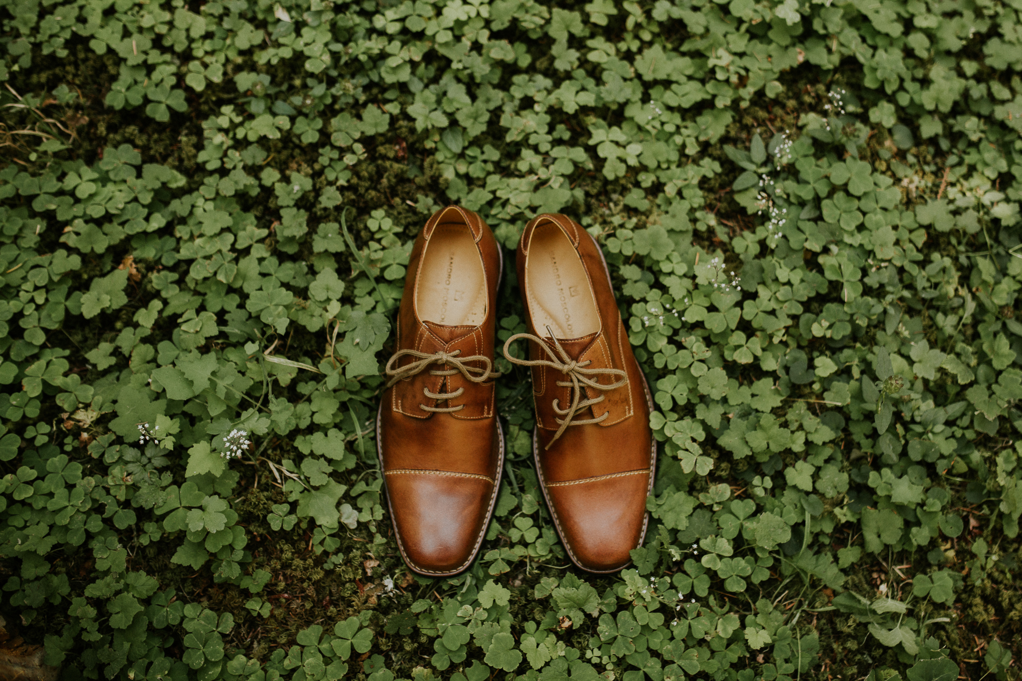 Pnw elopement photographer, pnw wedding photographer, pnw intimate wedding, Seattle elopement photographer, oregon intimate wedding photographer, Eugene Oregon elopement, Seattle parson’s gardens elopement, painted hills elopement, olympic national …