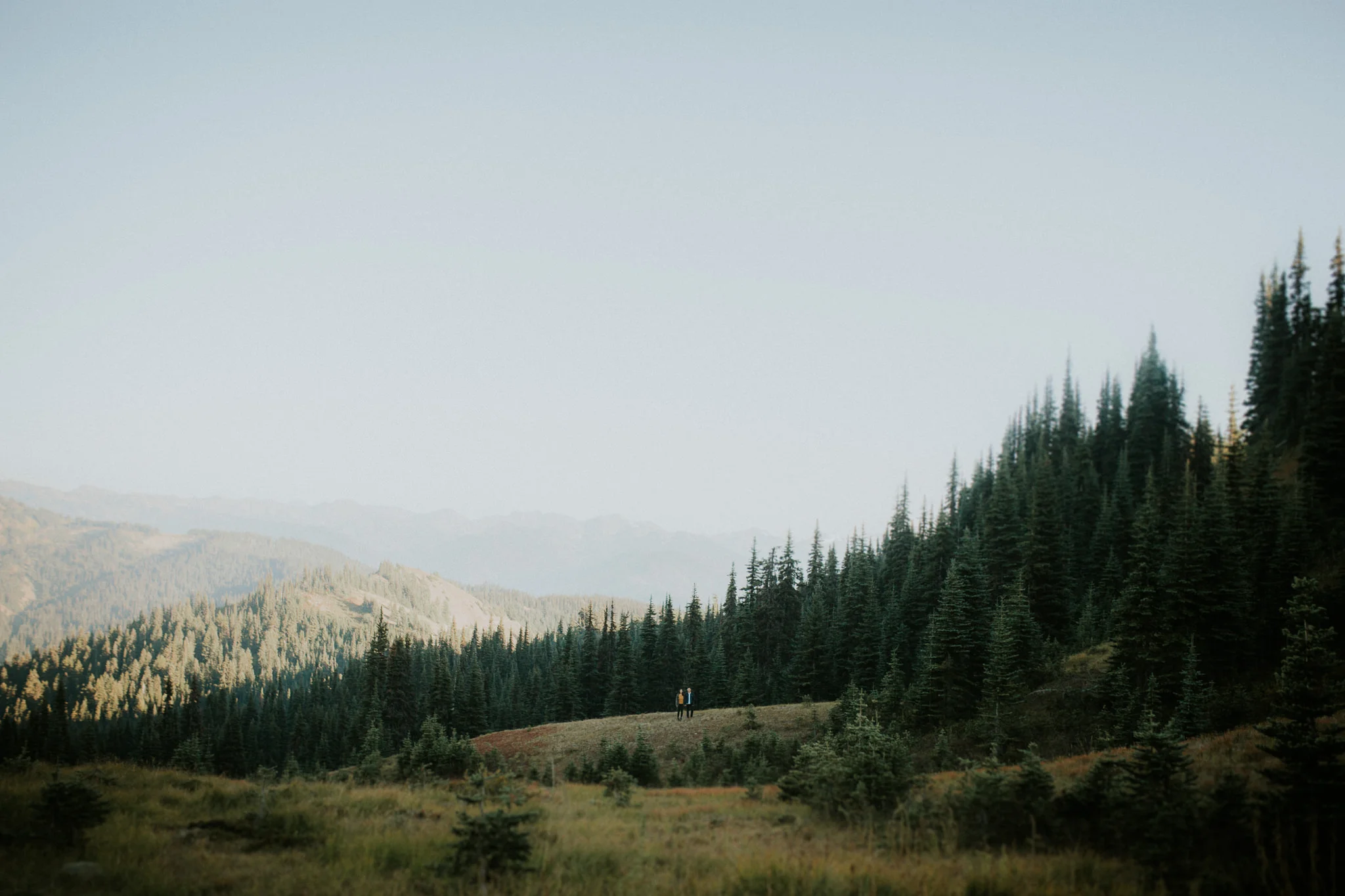 Pnw elopement photographer, pnw wedding photographer, pnw intimate wedding, Seattle elopement photographer, oregon intimate wedding photographer, Eugene Oregon elopement, Seattle parson’s gardens elopement, painted hills elopement, olympic national…