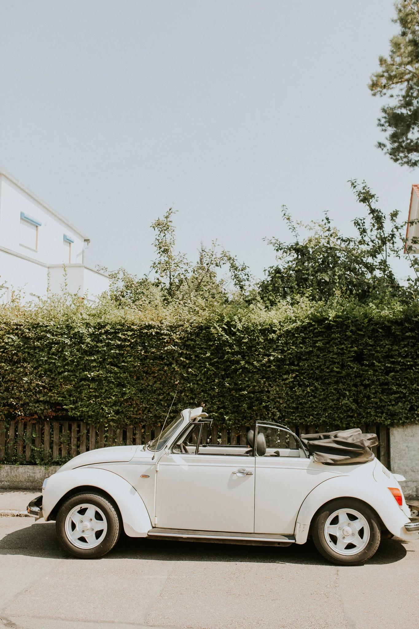 An iddilic German wedding in the southern countryside. Germany elopement, germany elopement photographer, germany wedding photographer, Germany wedding photographers, Germany weddings, Germany elopements, Germany intimate weddings, European wedding …