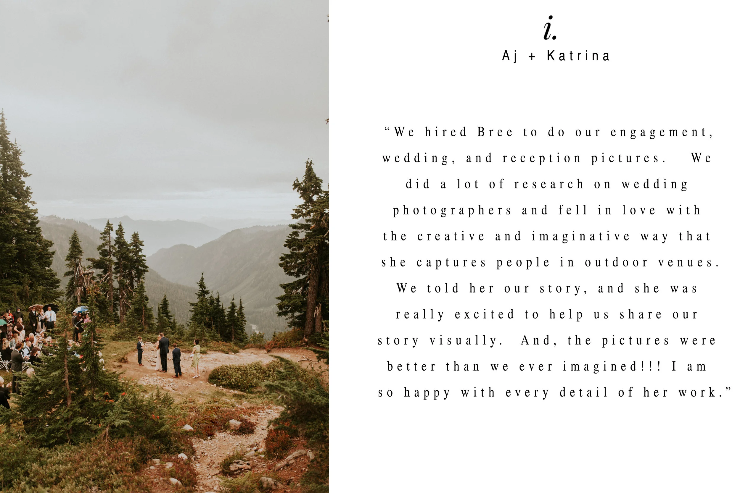 Mount-baker-artist-point-elopement-review 1.jpg