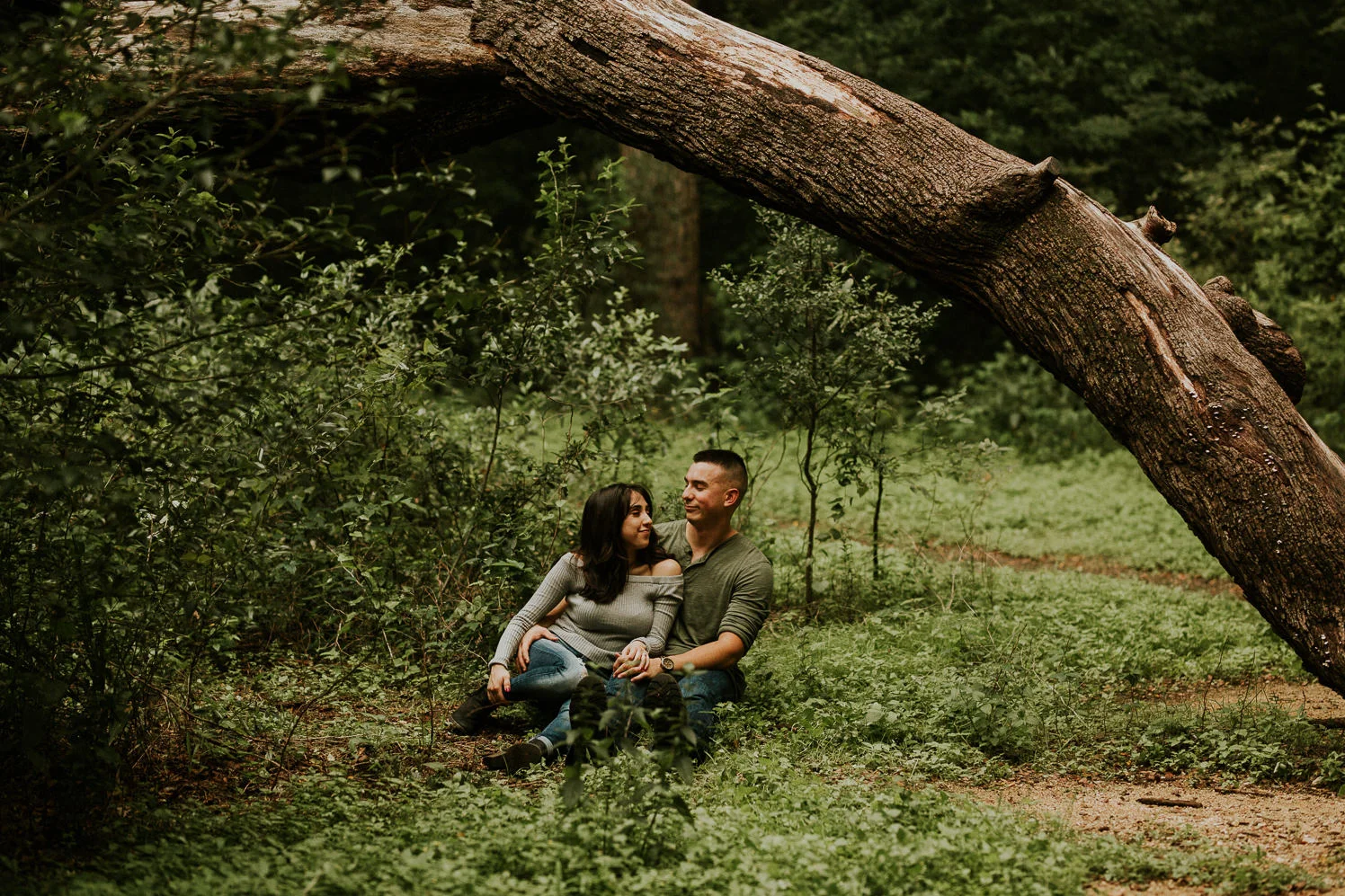 san antonio engagement photography under a curved tree