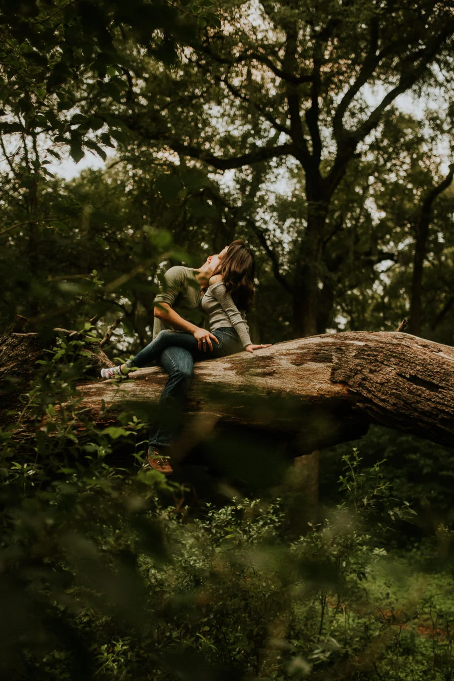 san antonio engagement photography lovers up in a tree