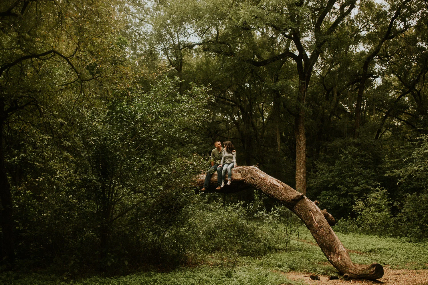 san antonio engagement photography lovers up in a tree