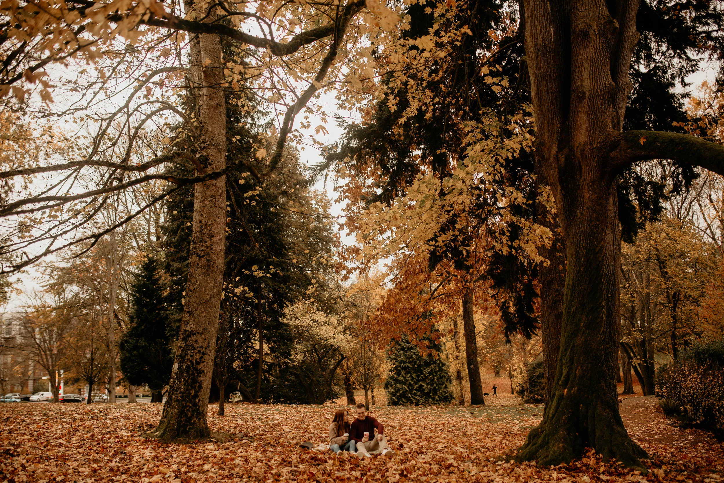 Tacoma engagement photography - Tacoma Wright Park - Tacoma wright park photos - Tacoma wedding photographer - Wright Park engagement photography - best tacoma engagement locations - best tacoma photoshoot locations - best Tacoma photographers - Tac…