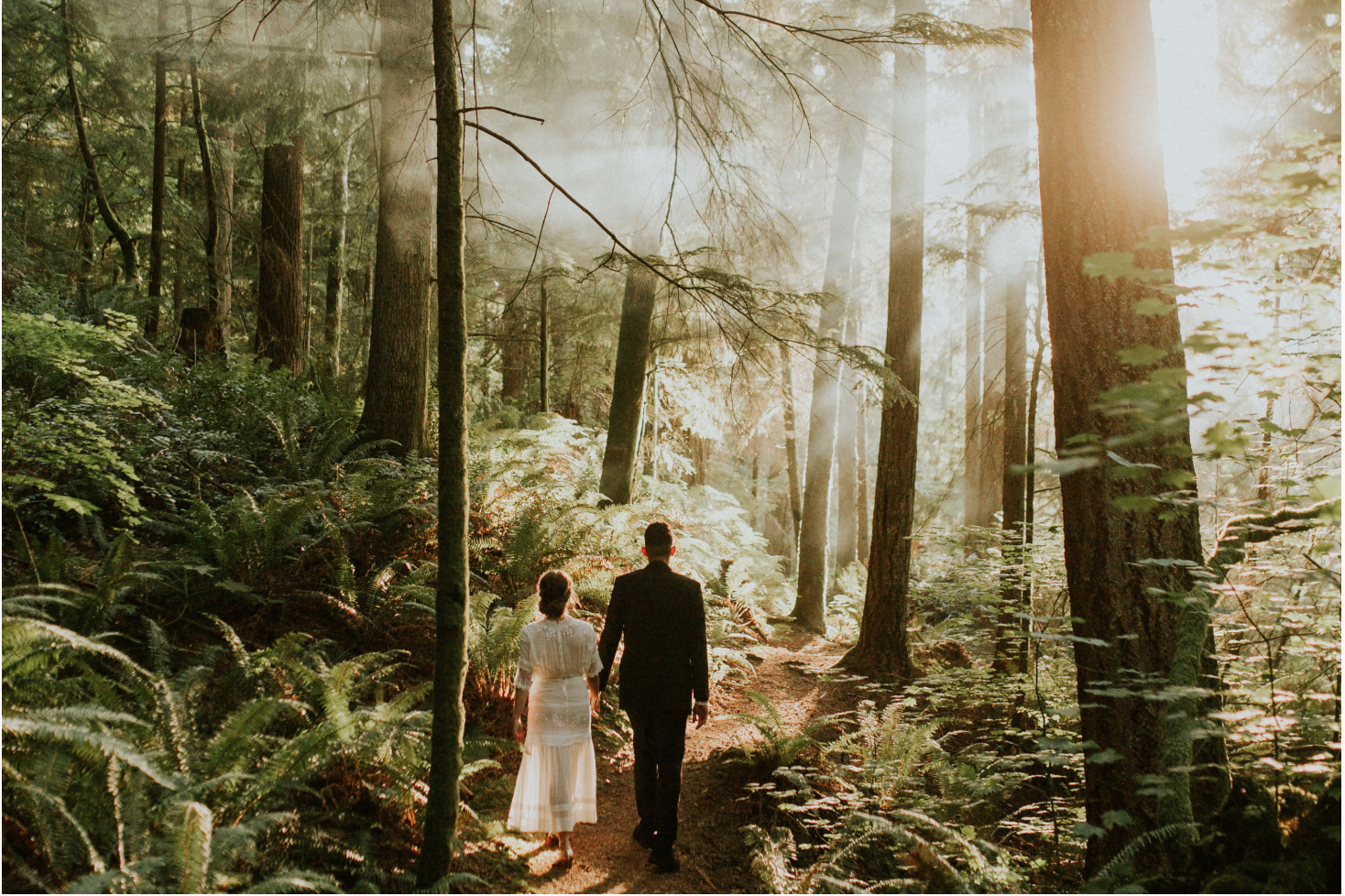 Screen Shot 2019-01-03 at 10.18.30 PM.png