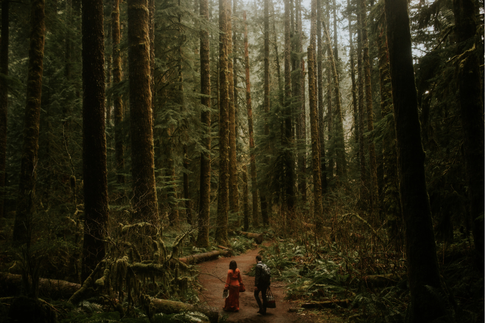 Screen Shot 2019-01-03 at 5.43.18 PM.png