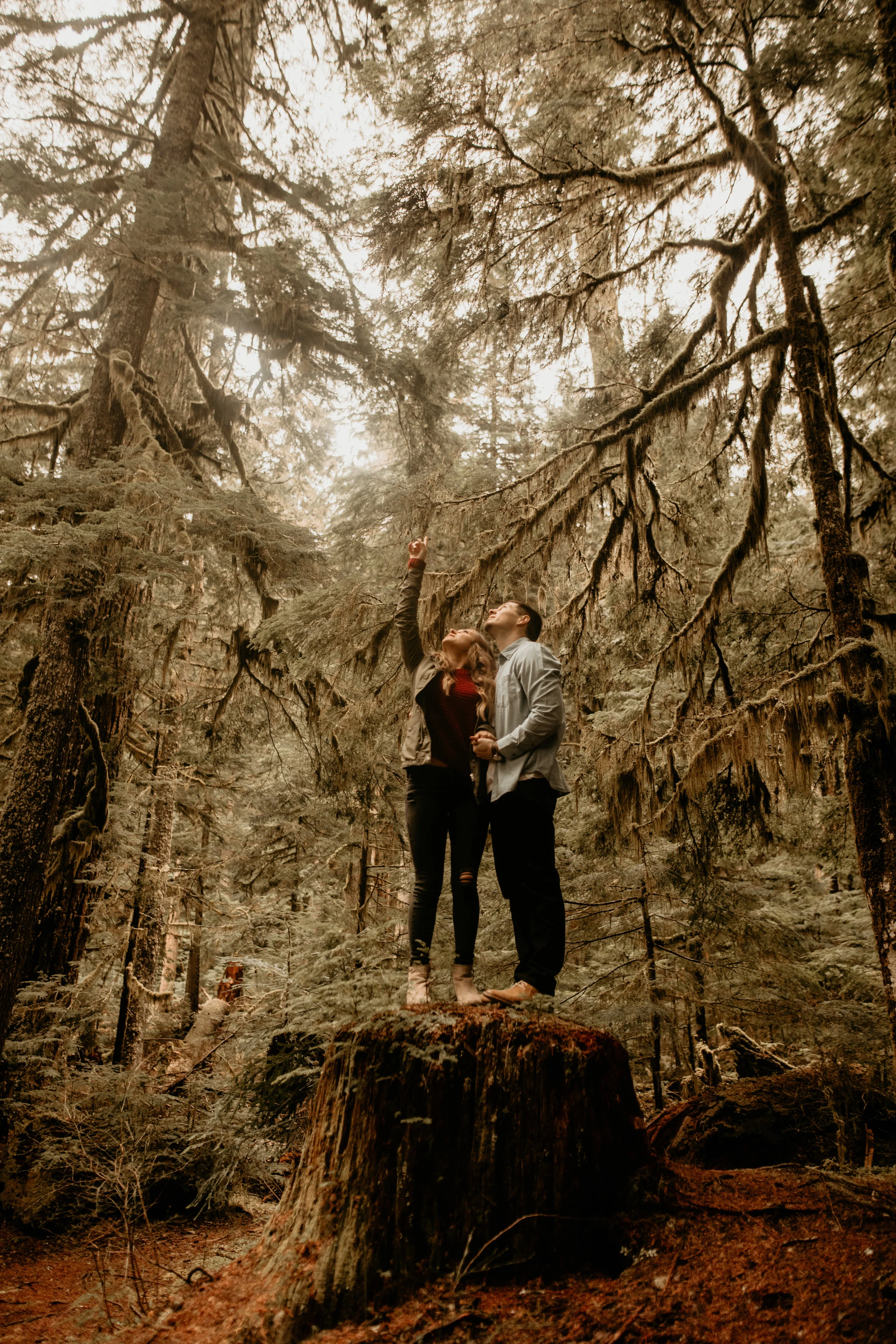 Mount Rainier engagement photos - Mount rainier twin firs trail - Ashford wedding photography - mount rainier elopement photography - Grenada engagement photos - Grenada wedding photographer - Spain wedding photography - Austria elopement photograph…
