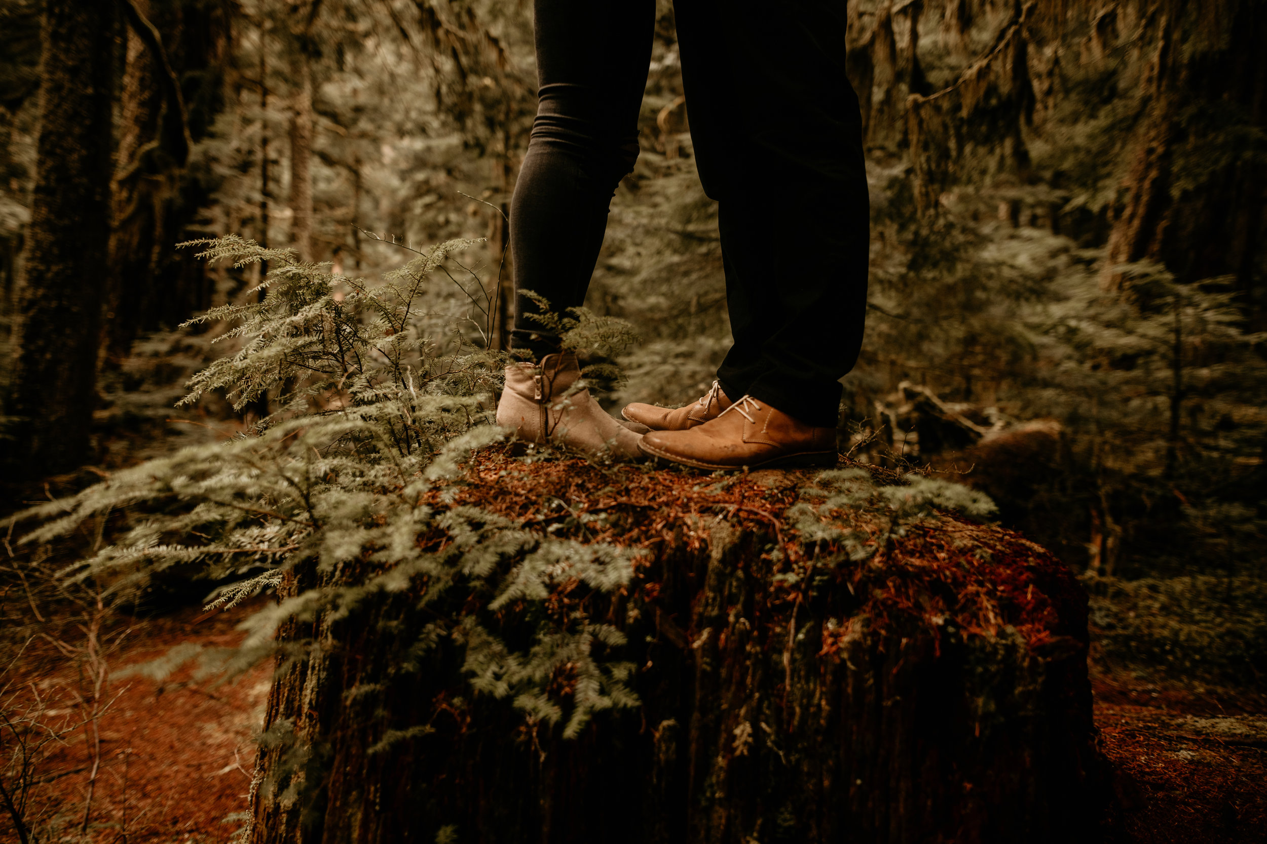 Mount Rainier engagement photos - Mount rainier twin firs trail - Ashford wedding photography - mount rainier elopement photography - Grenada engagement photos - Grenada wedding photographer - Spain wedding photography - Austria elopement photograph…