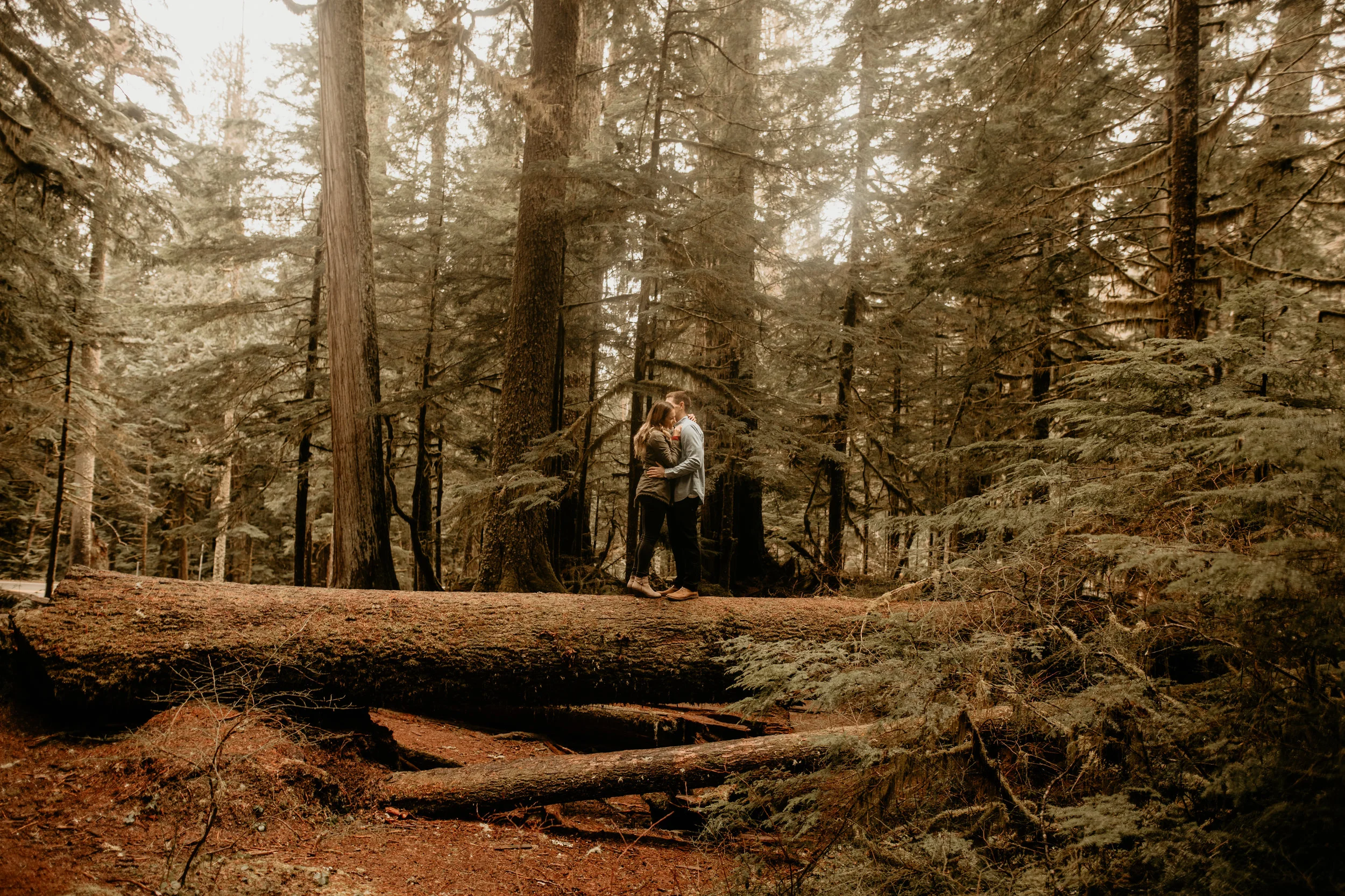 Mount Rainier engagement photos - Mount rainier twin firs trail - Ashford wedding photography - mount rainier elopement photography - Grenada engagement photos - Grenada wedding photographer - Spain wedding photography - Austria elopement photograph…