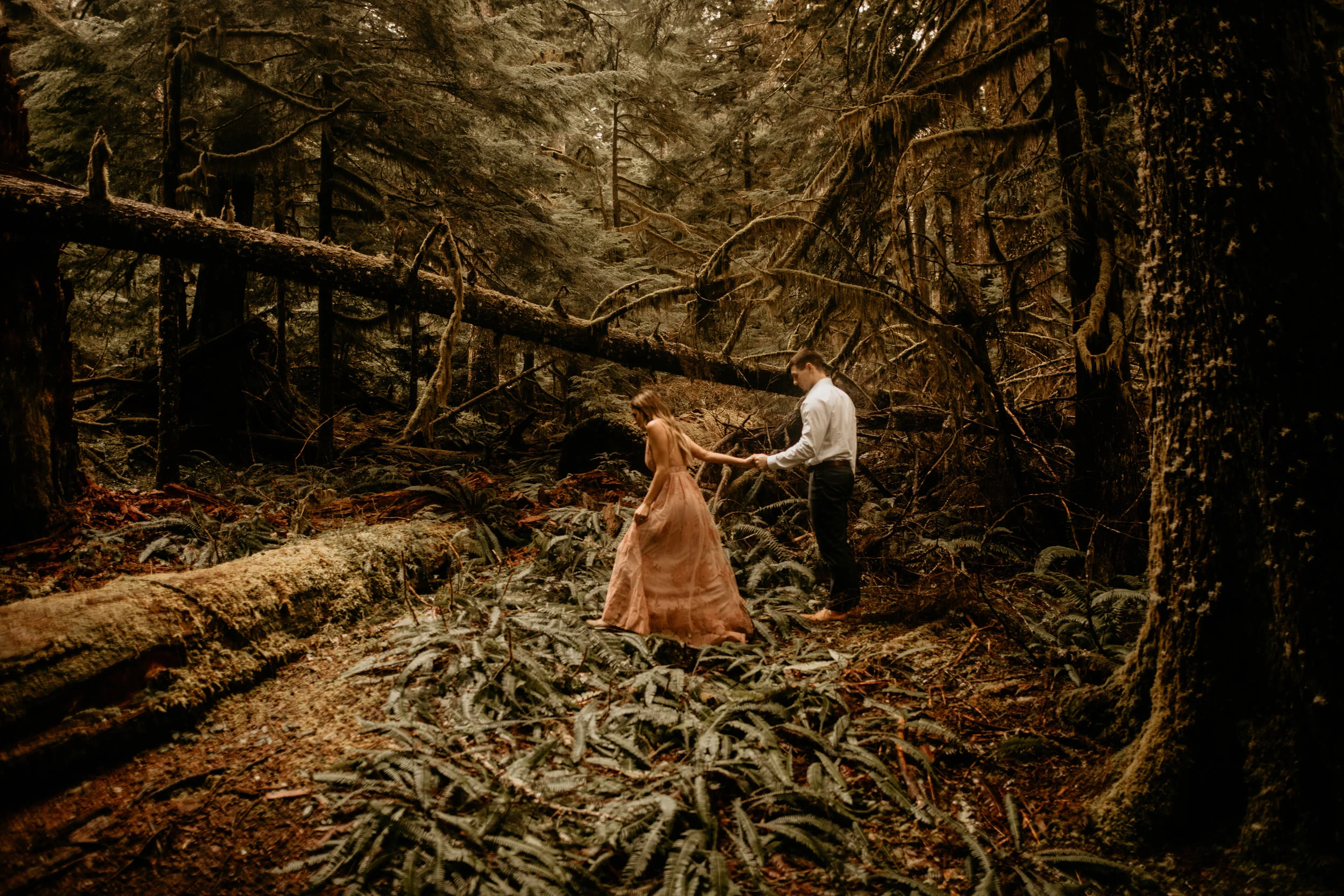 Mount Rainier Longmeyer Forest Engagement Session Photographer 