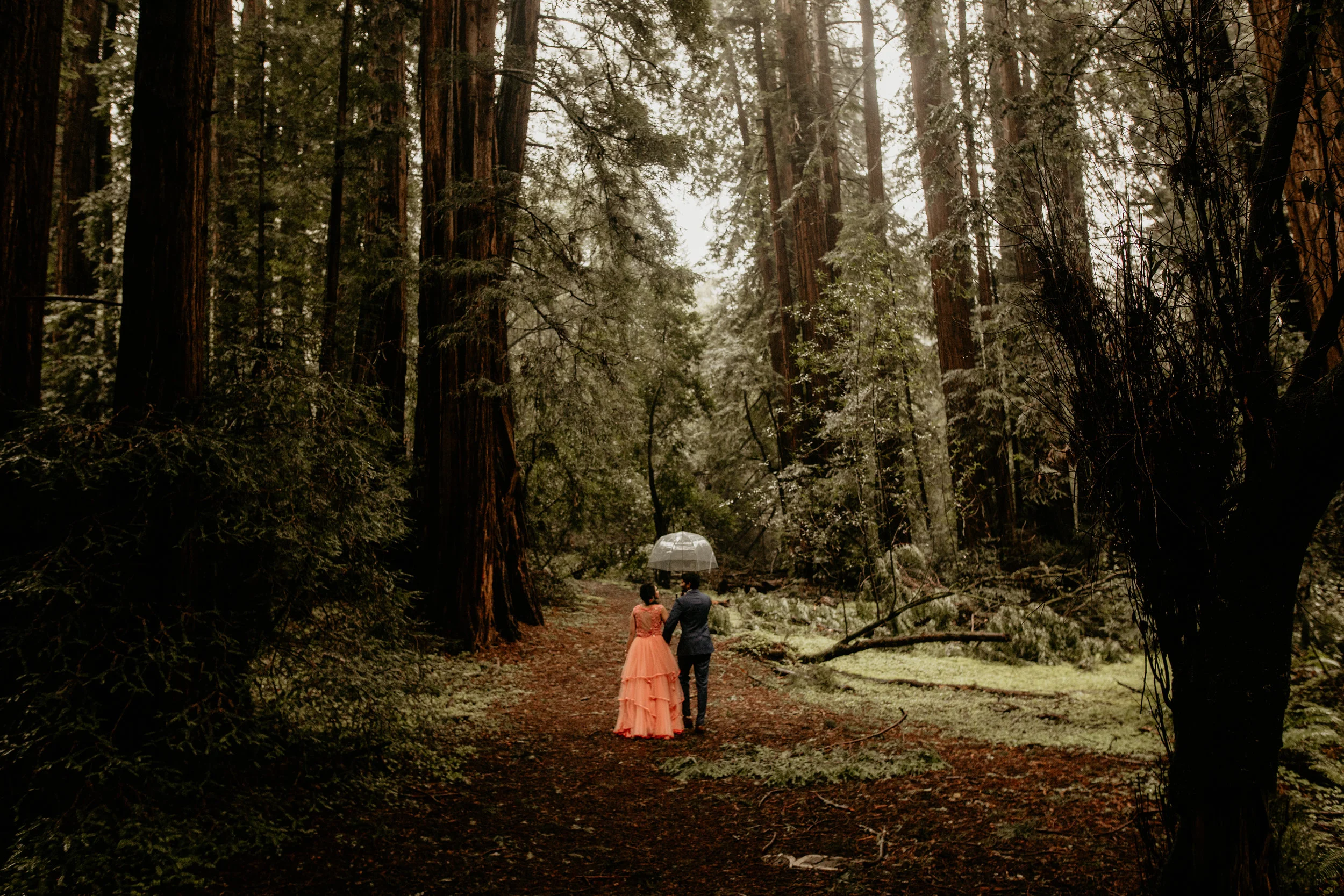 John Muir Woods elopement photographer, best elopement photographer in California, John Muir Woods elopement photographer, redwoods national park elopement photographer, California wedding photographer, elopement wedding photography, hire wedding ph…