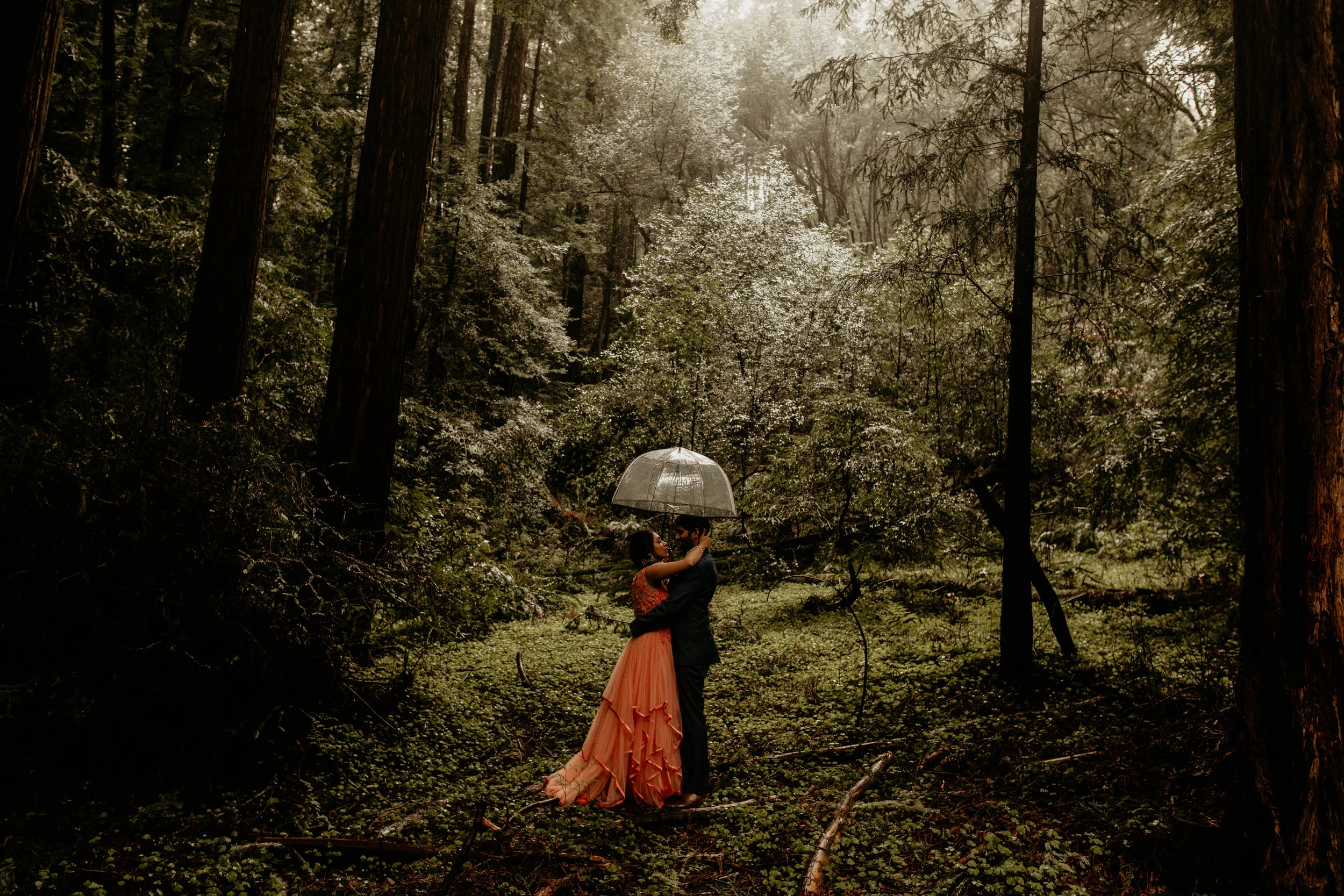 John Muir Woods elopement photographer, best elopement photographer in California, John Muir Woods elopement photographer, redwoods national park elopement photographer, California wedding photographer, elopement wedding photography, hire wedding ph…