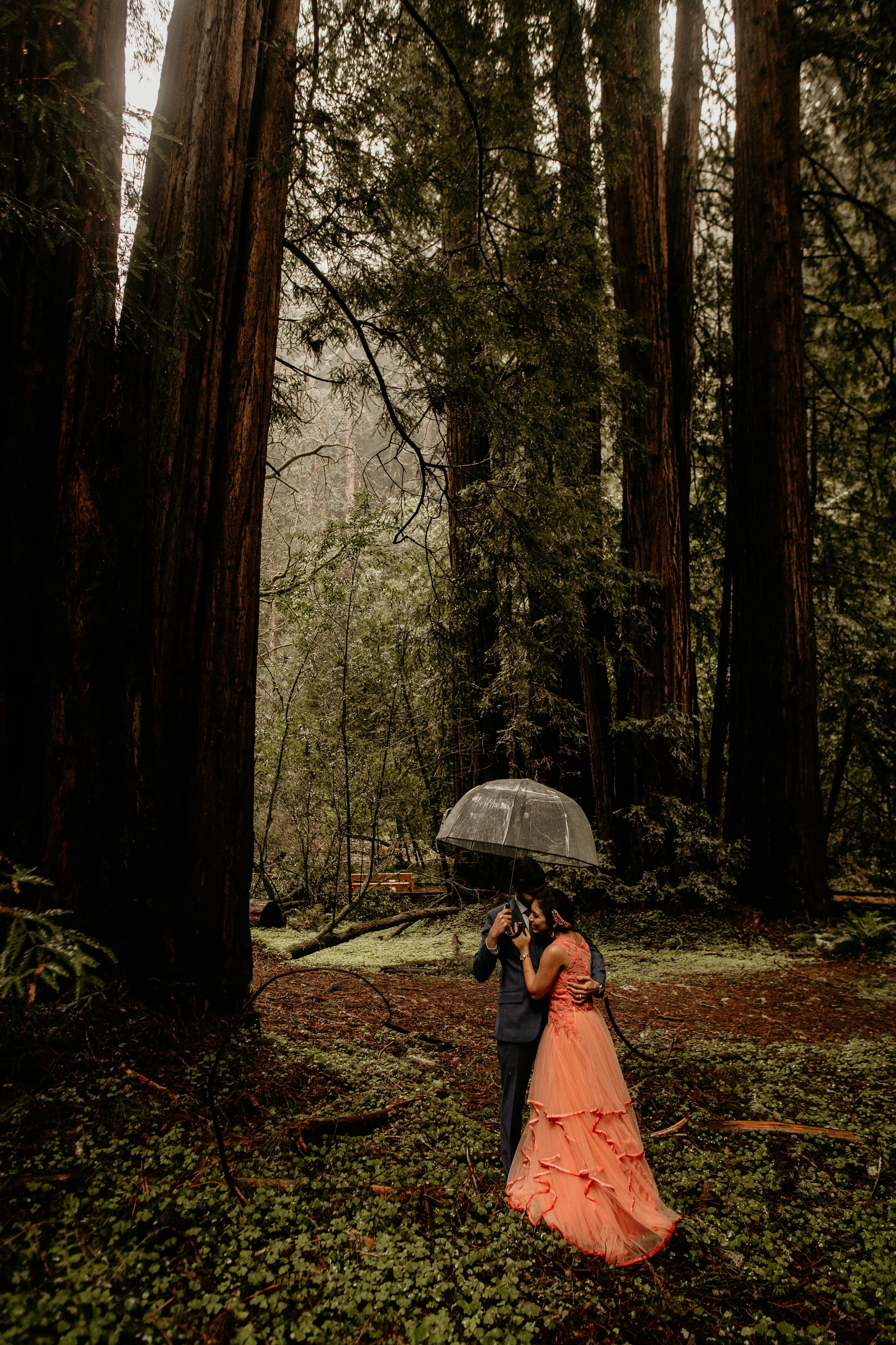 John Muir Woods elopement photographer, best elopement photographer in California, John Muir Woods elopement photographer, redwoods national park elopement photographer, California wedding photographer, elopement wedding photography, hire wedding ph…
