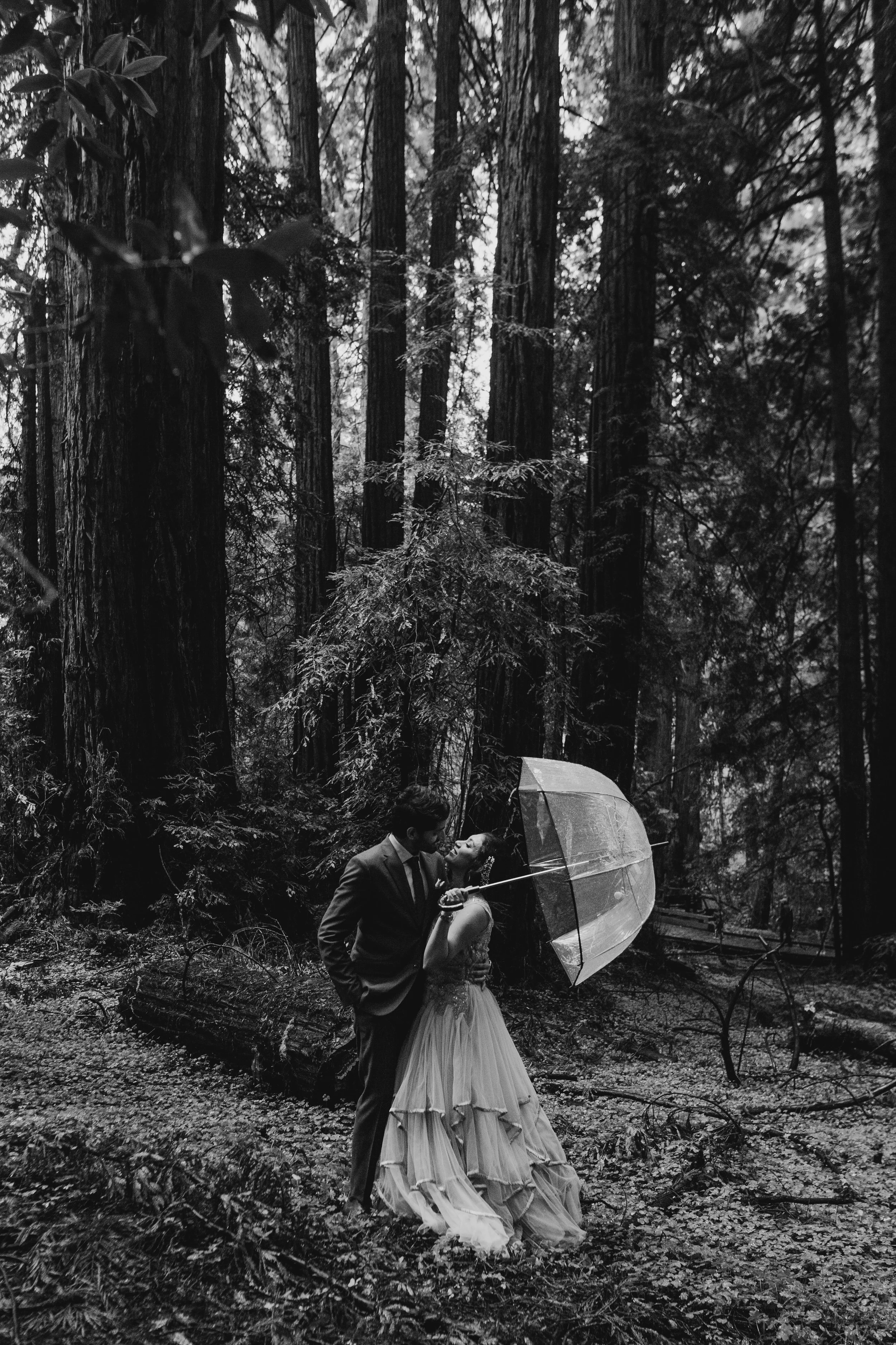 John Muir Woods elopement photographer, best elopement photographer in California, John Muir Woods elopement photographer, redwoods national park elopement photographer, California wedding photographer, elopement wedding photography, hire wedding ph…