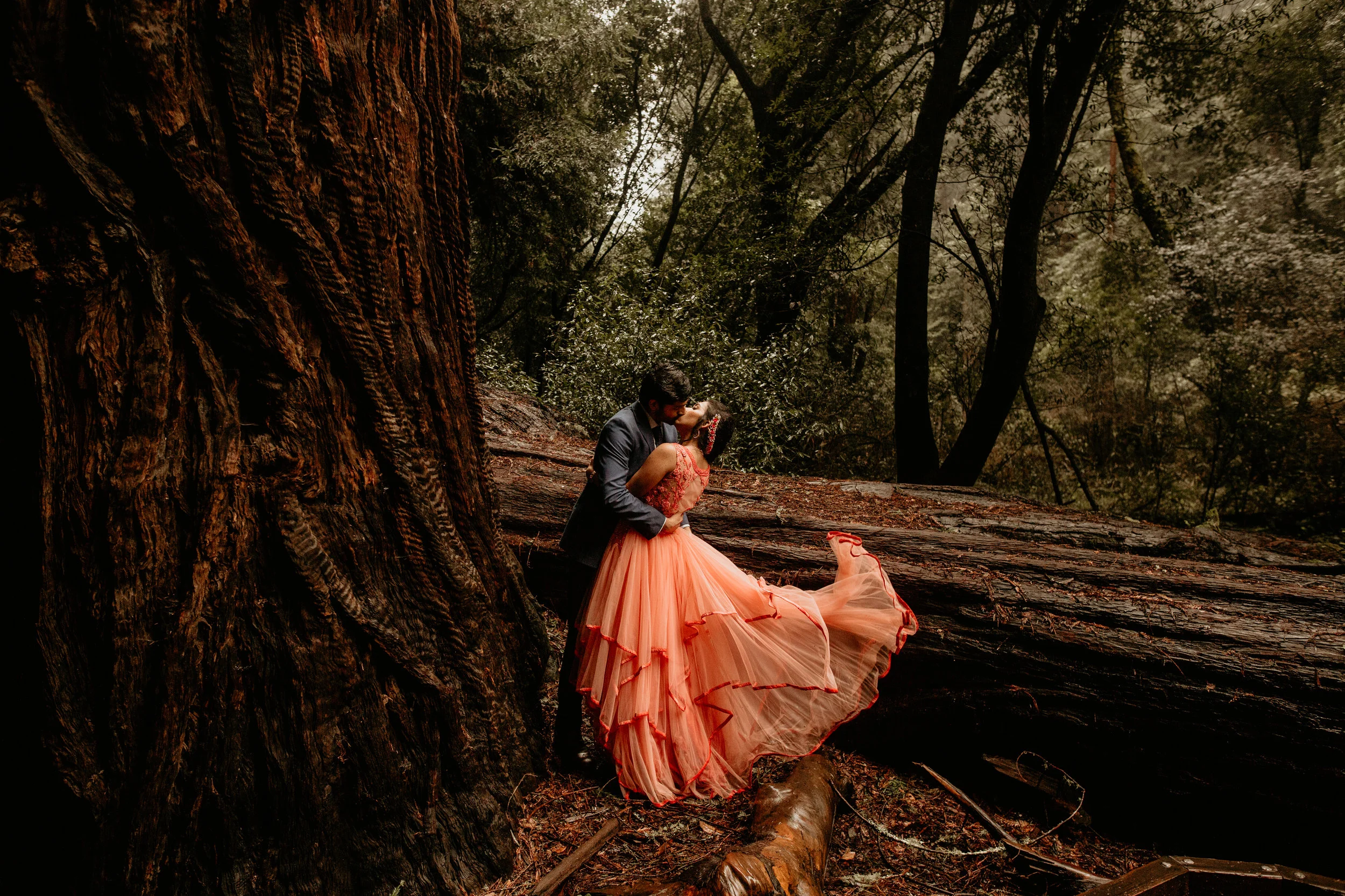 John Muir Woods elopement photographer, best elopement photographer in California, John Muir Woods elopement photographer, redwoods national park elopement photographer, California wedding photographer, elopement wedding photography, hire wedding ph…