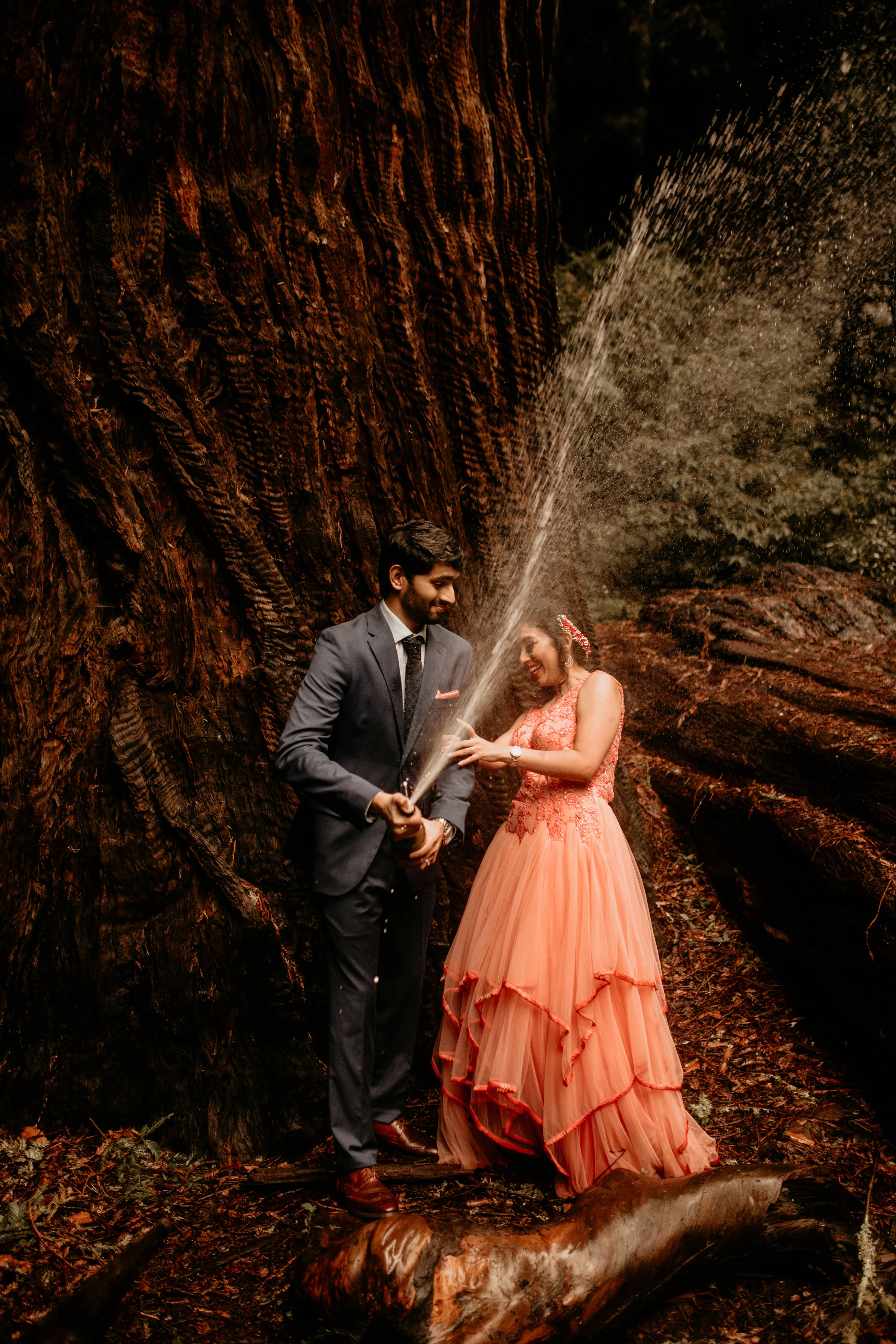 John Muir Woods elopement photographer, best elopement photographer in California, John Muir Woods elopement photographer, redwoods national park elopement photographer, California wedding photographer, elopement wedding photography, hire wedding ph…