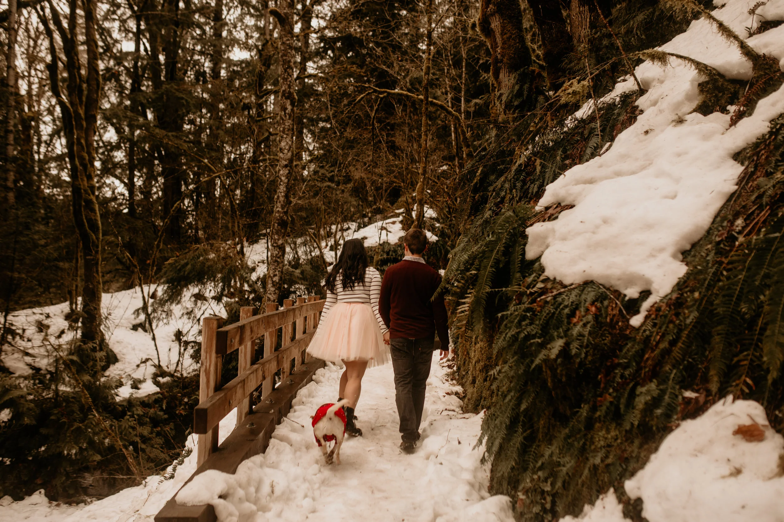 elopement wedding photography - seattle elopement - hire wedding photographers in seattle - adventure wedding photographer - wedding photographer under $2000 - tacoma wedding photographers - elopement wedding photographer - elopement photographer -…