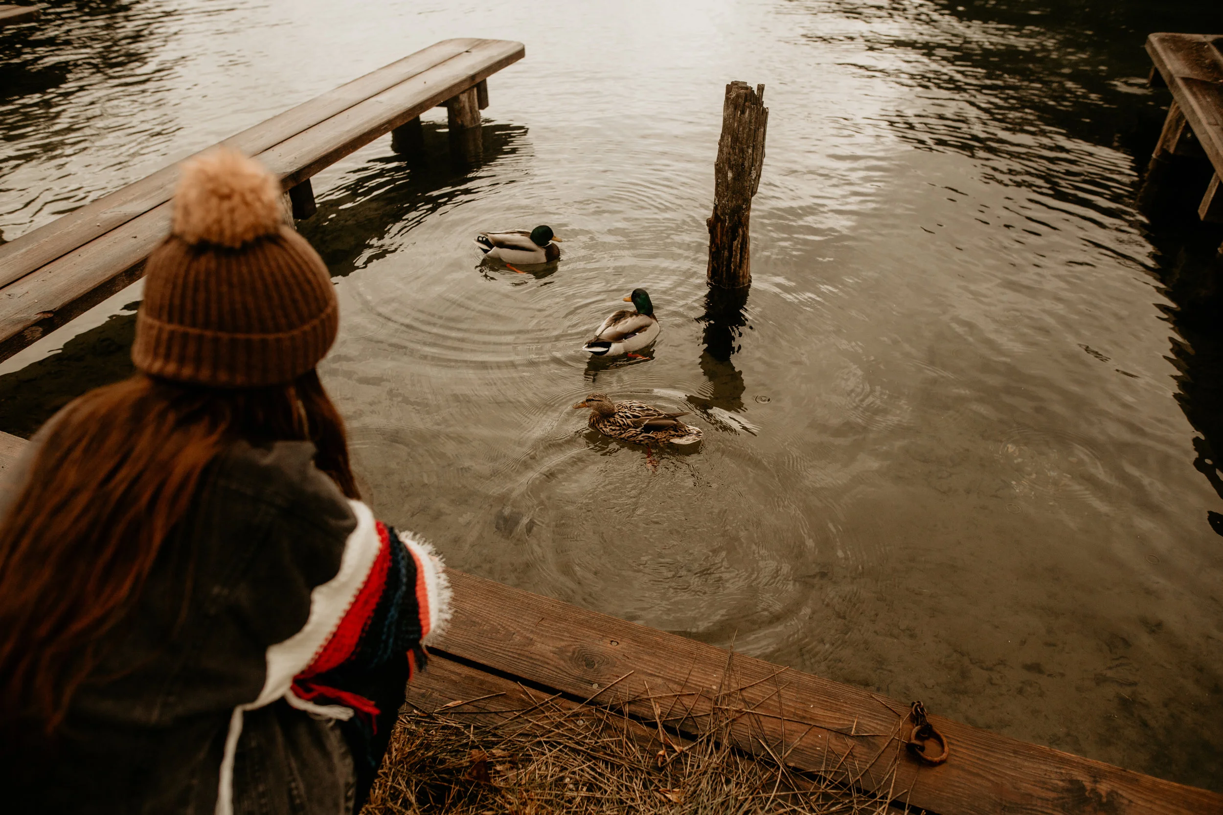 Austria elopement photographer - Hintersee elopement photographer - Austria elopement photographer - Italy wedding photographer - Austria wedding photographer - Germany wedding photographer - Lago Di Braies- Prago Wildersee - Salzburg wedding photog…