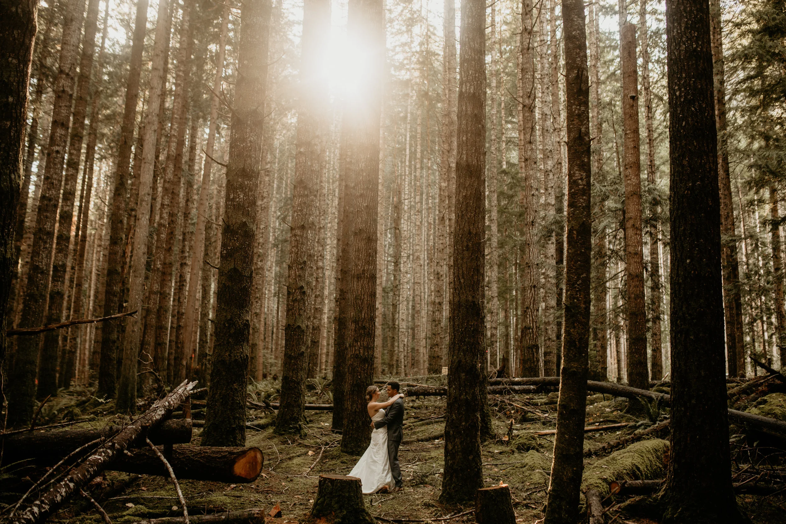 How to make your elopement special - What do you do during your elopement - how to plan an elopement - Seattle elopement photographer - pnw elopement photographer - tacoma elopement photographer - Seattle wedding photographer - tacoma wedding photog…
