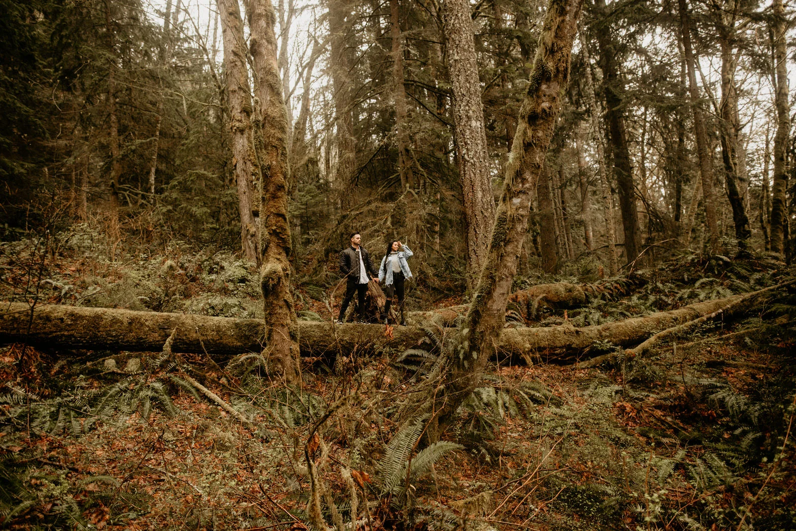 Tiger mountain engagement photos - cougar mountain engagement photos - Issaquah engagement photos - Seattle elopement photographer - pnw elopement photographer - tacoma elopement photographer - Seattle wedding photographer - tacoma wedding photogra…