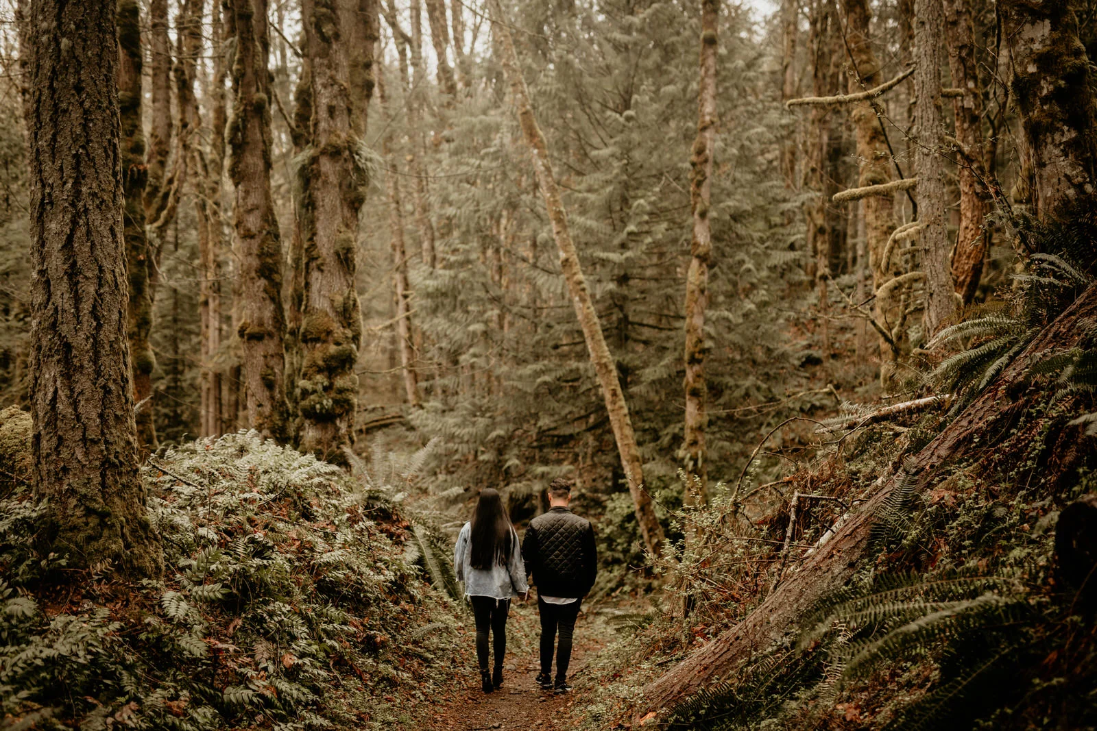 Tiger mountain engagement photos - cougar mountain engagement photos - Issaquah engagement photos - Seattle elopement photographer - pnw elopement photographer - tacoma elopement photographer - Seattle wedding photographer - tacoma wedding photogra…