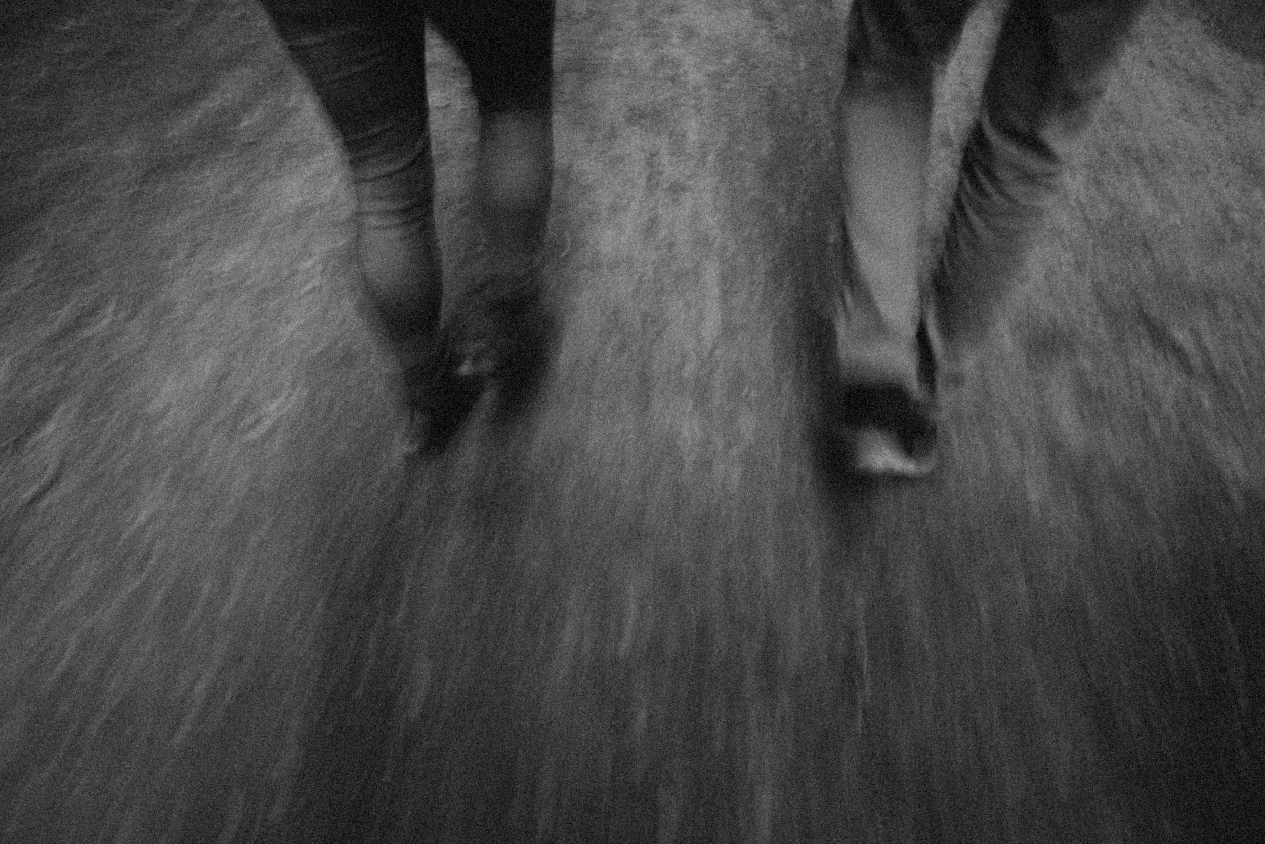 Lake Cushman engagement photography - lake cushman hoodsport engagement - lake cushion engagement photography - engagement wedding photography - lake cushman elopement - hood sport Washington - hire wedding photographers in seattle - adventure weddi…