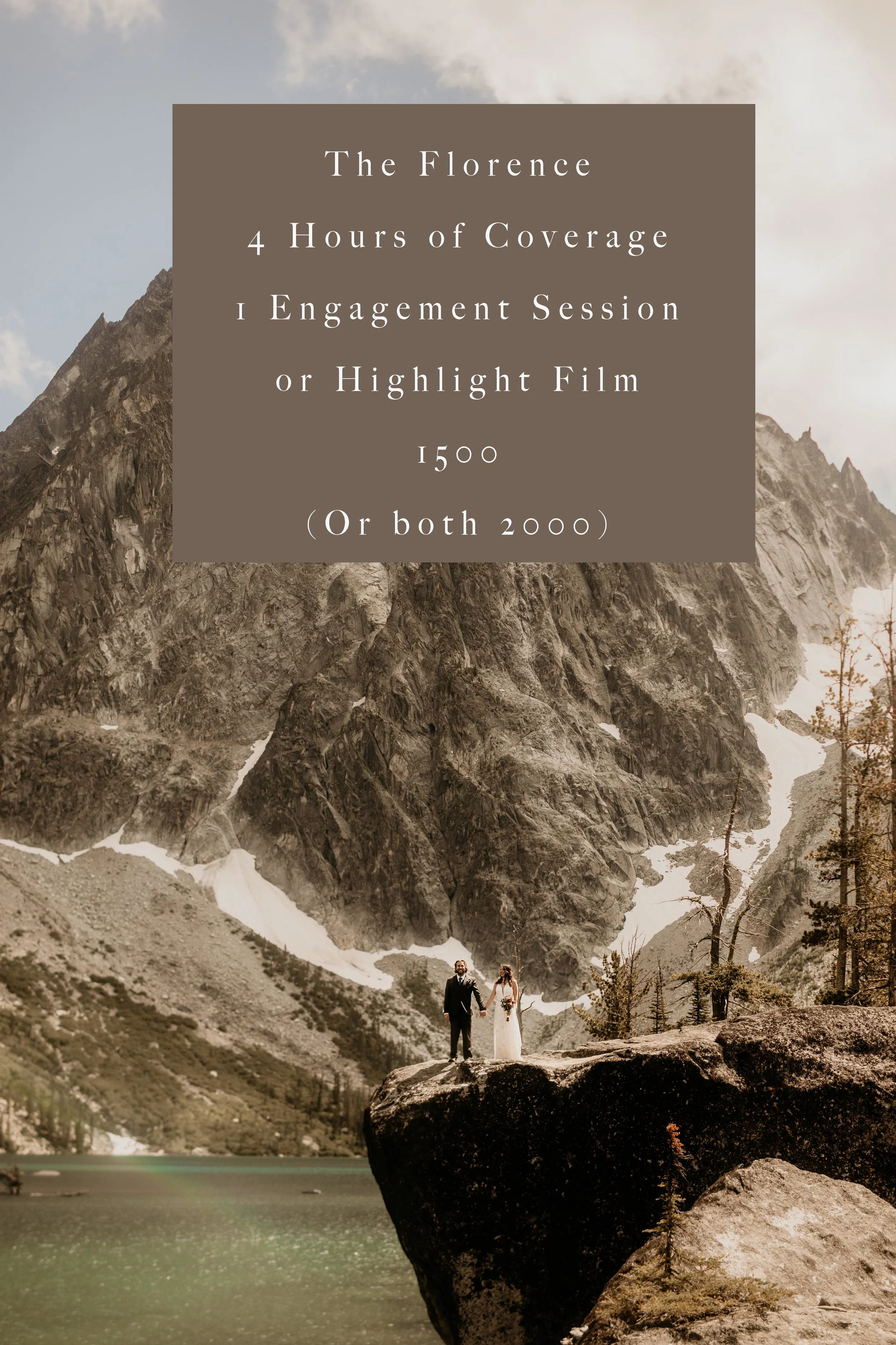 Take $40 off your total if you bring all of the dogs to the engagement session!