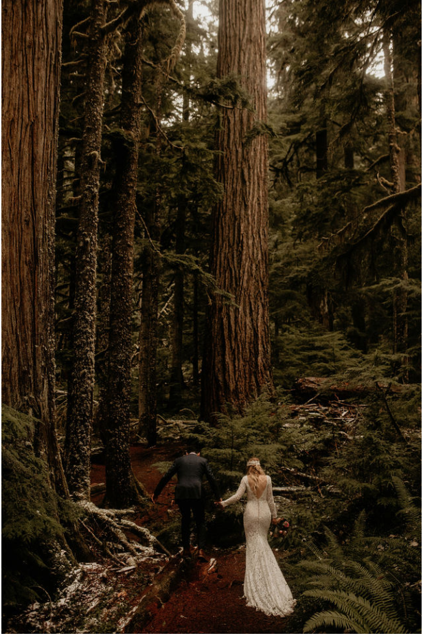 Screen Shot 2019-09-04 at 2.46.38 PM.png