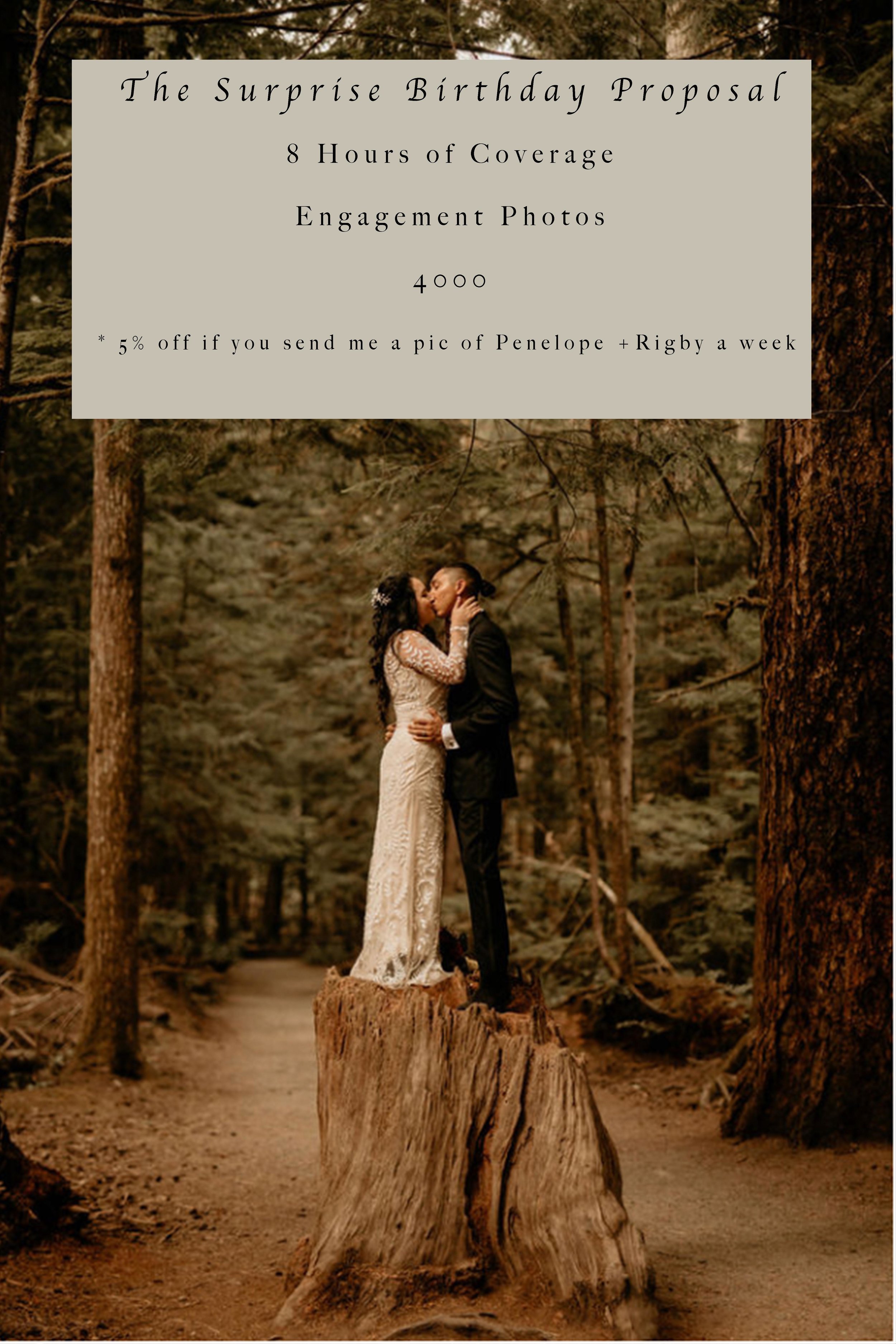 Artists bluff elopement - white mountain elopement - autumn elopement photography - artists bluff hike - artists bluff wedding - white mountain wedding - New Hampshire wedding photographer - artists bluff wedding photographer - New Hampshire hiking …