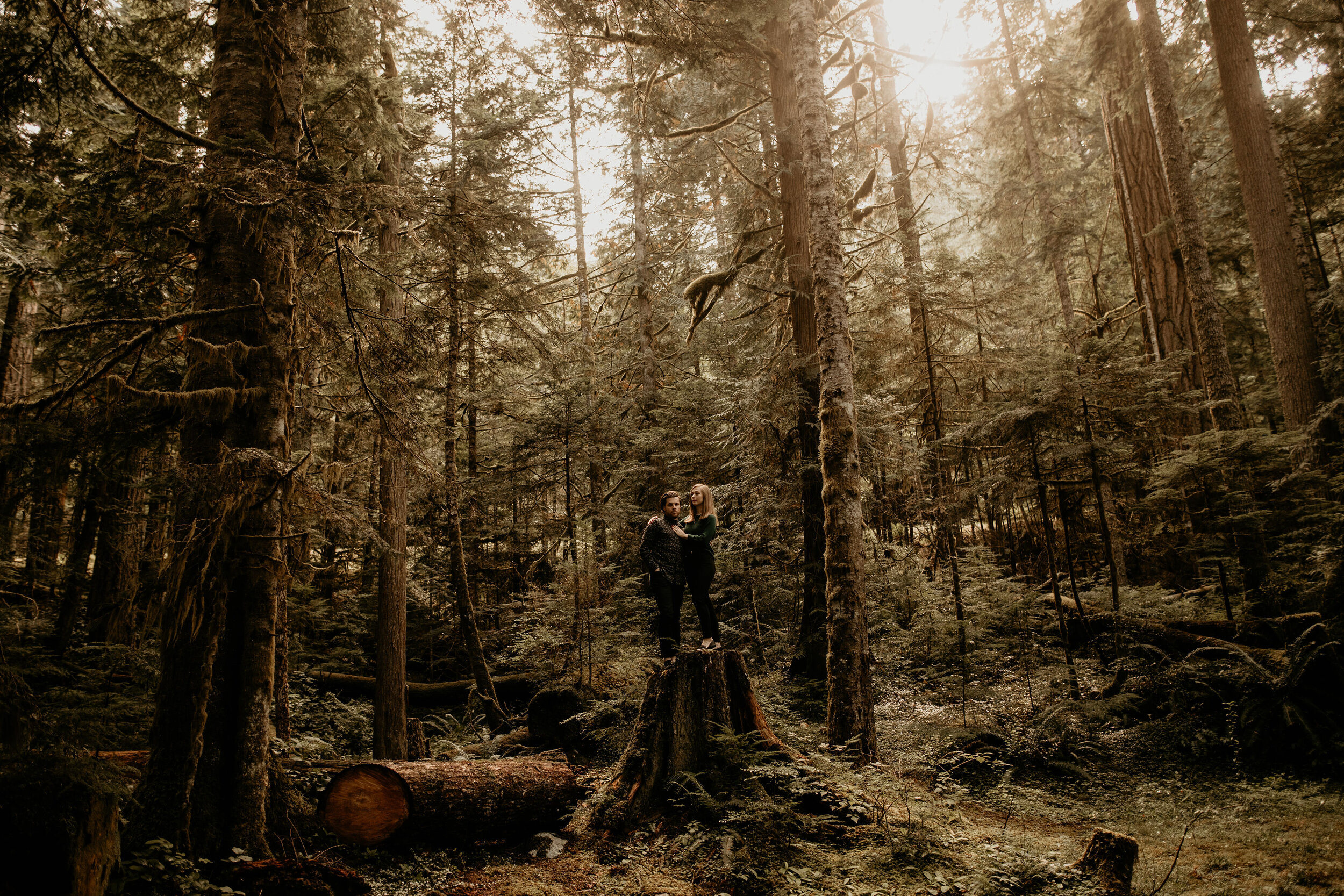 Drive up beautiful forest. Close to the top of the Mountain. Wheelchair accessible.