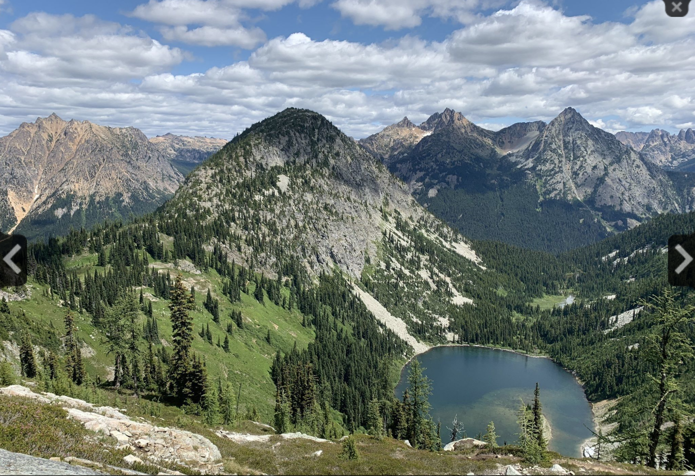 Screen Shot 2019-10-14 at 2.07.20 AM.png