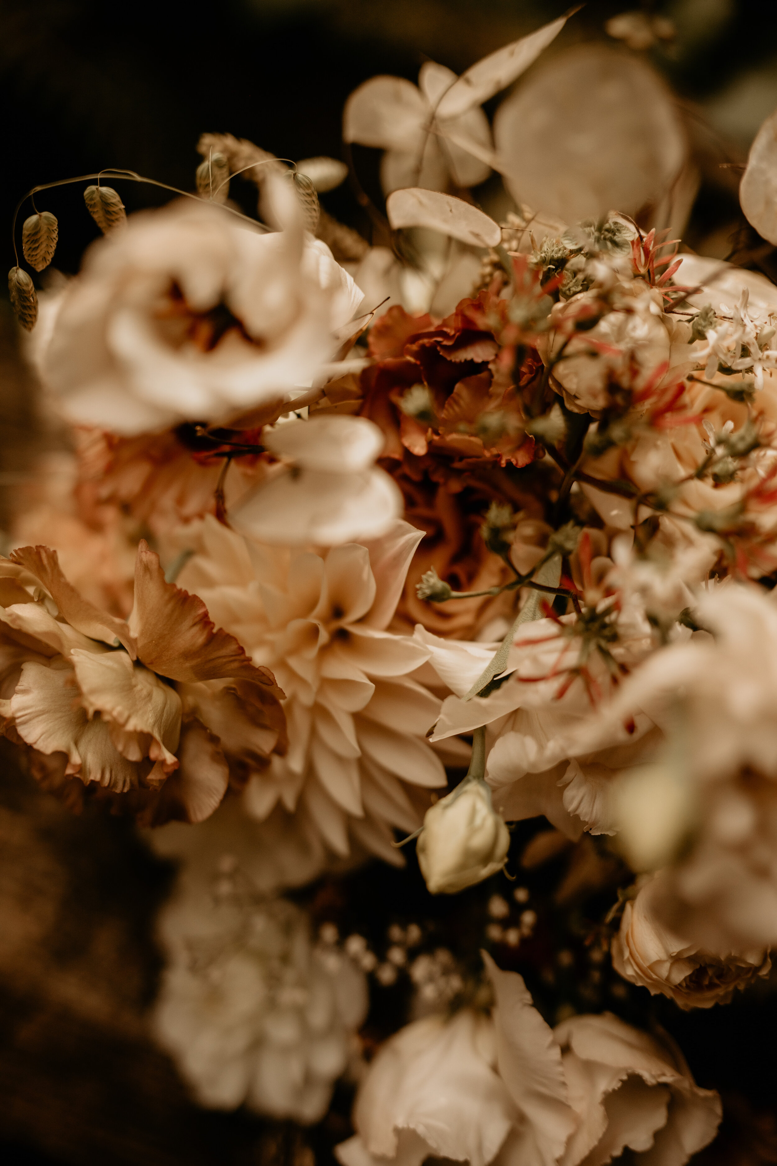 guemes island elopement - guemes island elopement photographer - San Juan island elopement - San Juan island elopement photographer - orcas island wedding - orcas island elopement - orcas island wedding photographer - orcas island elopement photogra…