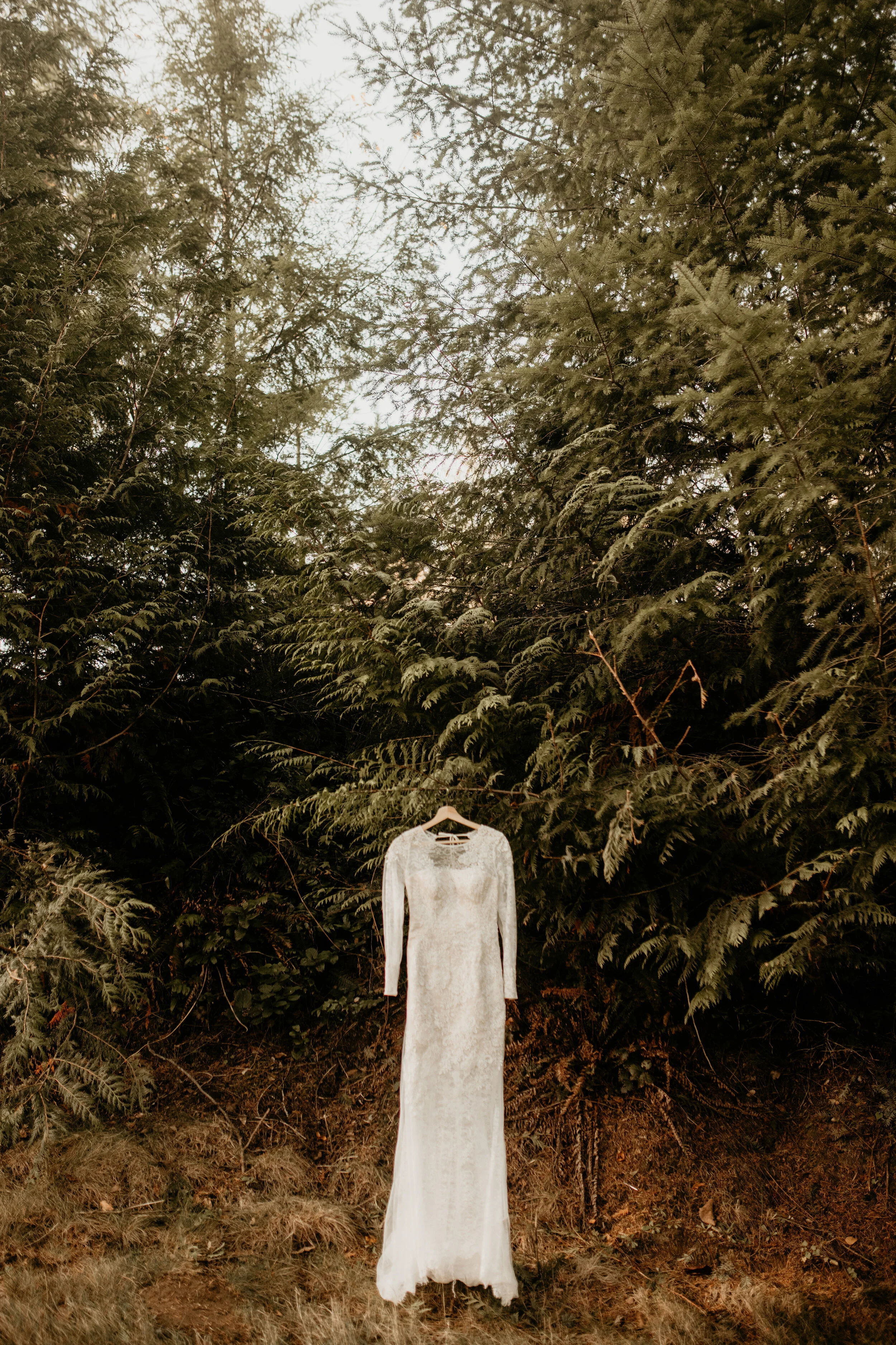 Forest elopement - Mountain Woods elopement - snoqualmie falls wedding - Salish lodge wedding - snoqualmie falls elopement photographer - Salish lodge wedding photographer - snoqualmie pass elopement - waterfall elopement vibes - fall elopement insp…