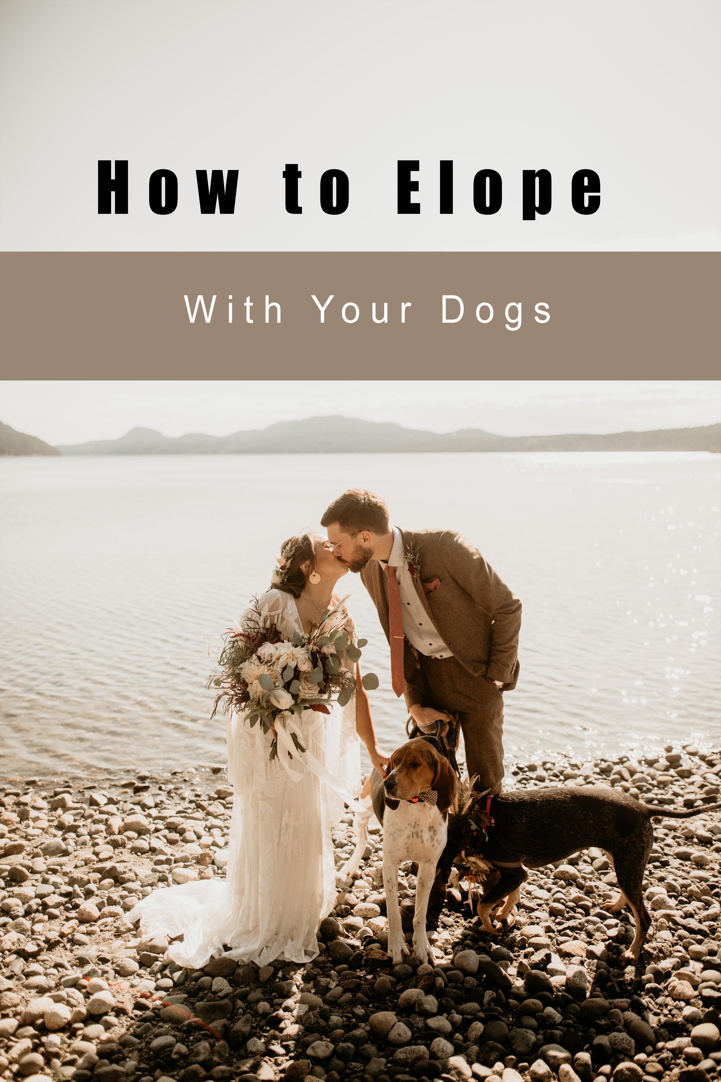 How to include your dog in your elopement!