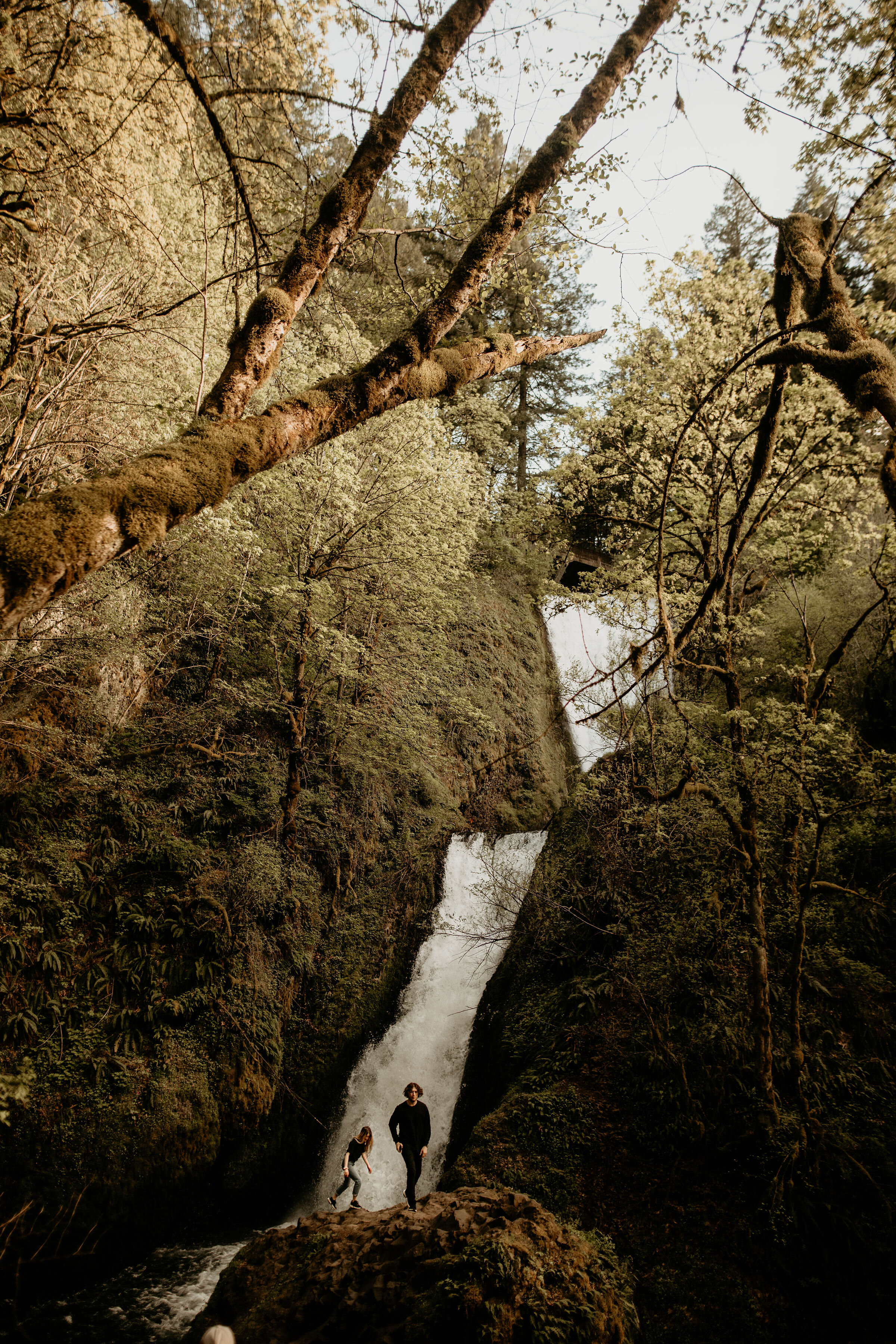 Cannon beach elopement - cannon beach elopement photographer - manzanita state park elopement - bend Oregon elopement - painted desert elopement - smith rock elopement - Oregon elopement photographer - Columbia river gorge elopement photographer - C…