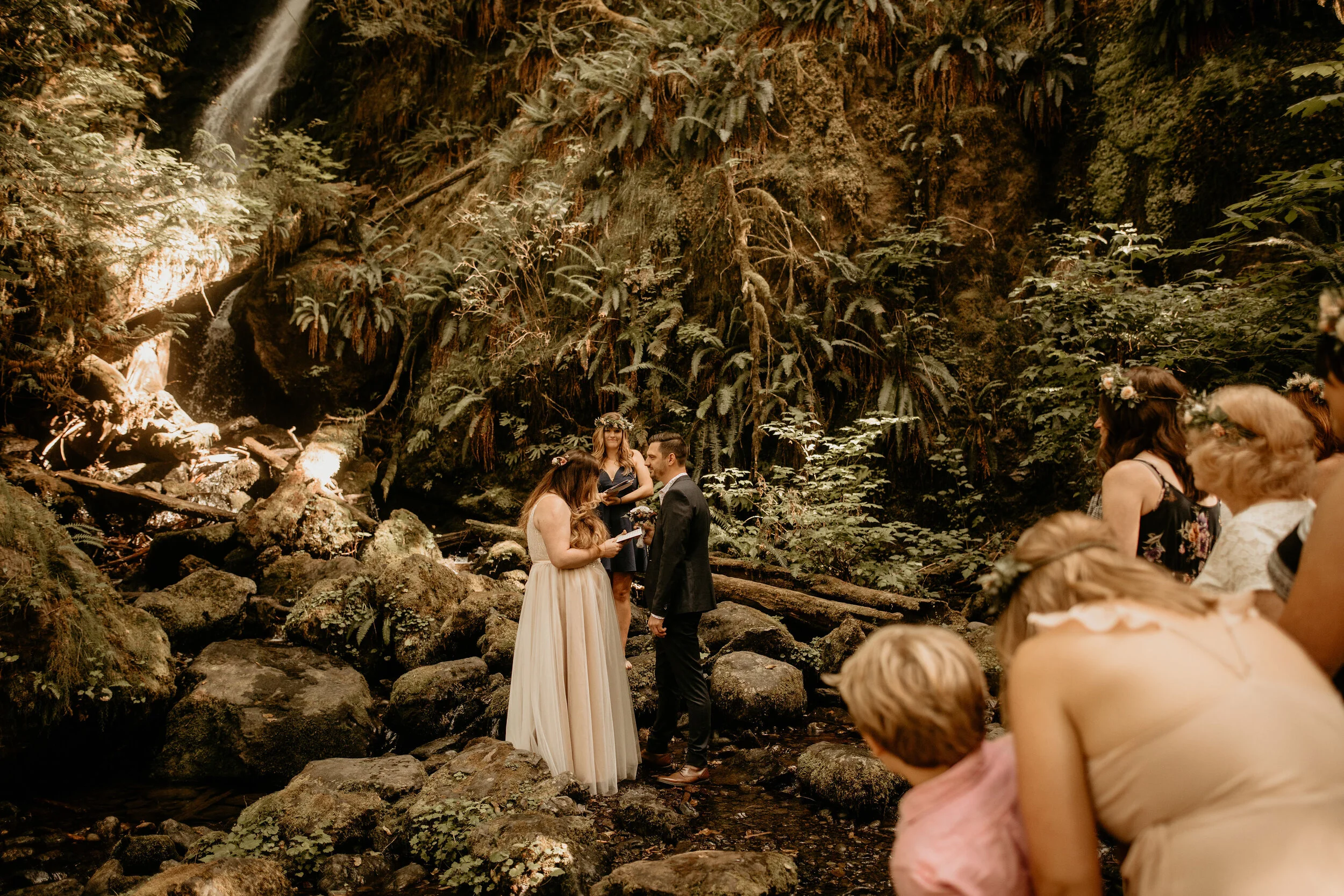 beautiful waterfall surrounded by ferns! very easy to get to, also next to a beautful rainforest and a cute lake! lots of cute places to stay at!