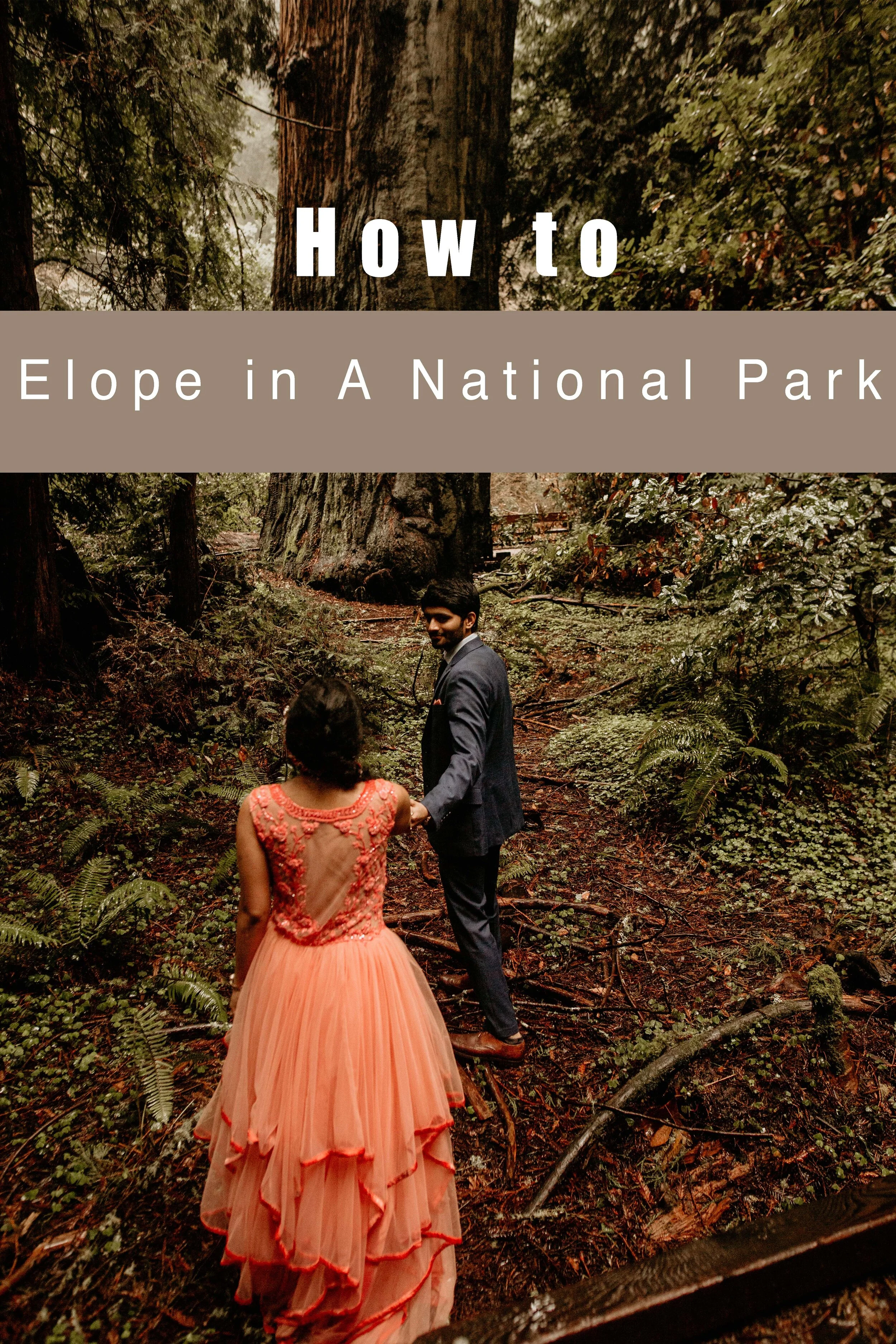 how to plan your elopement in a national park