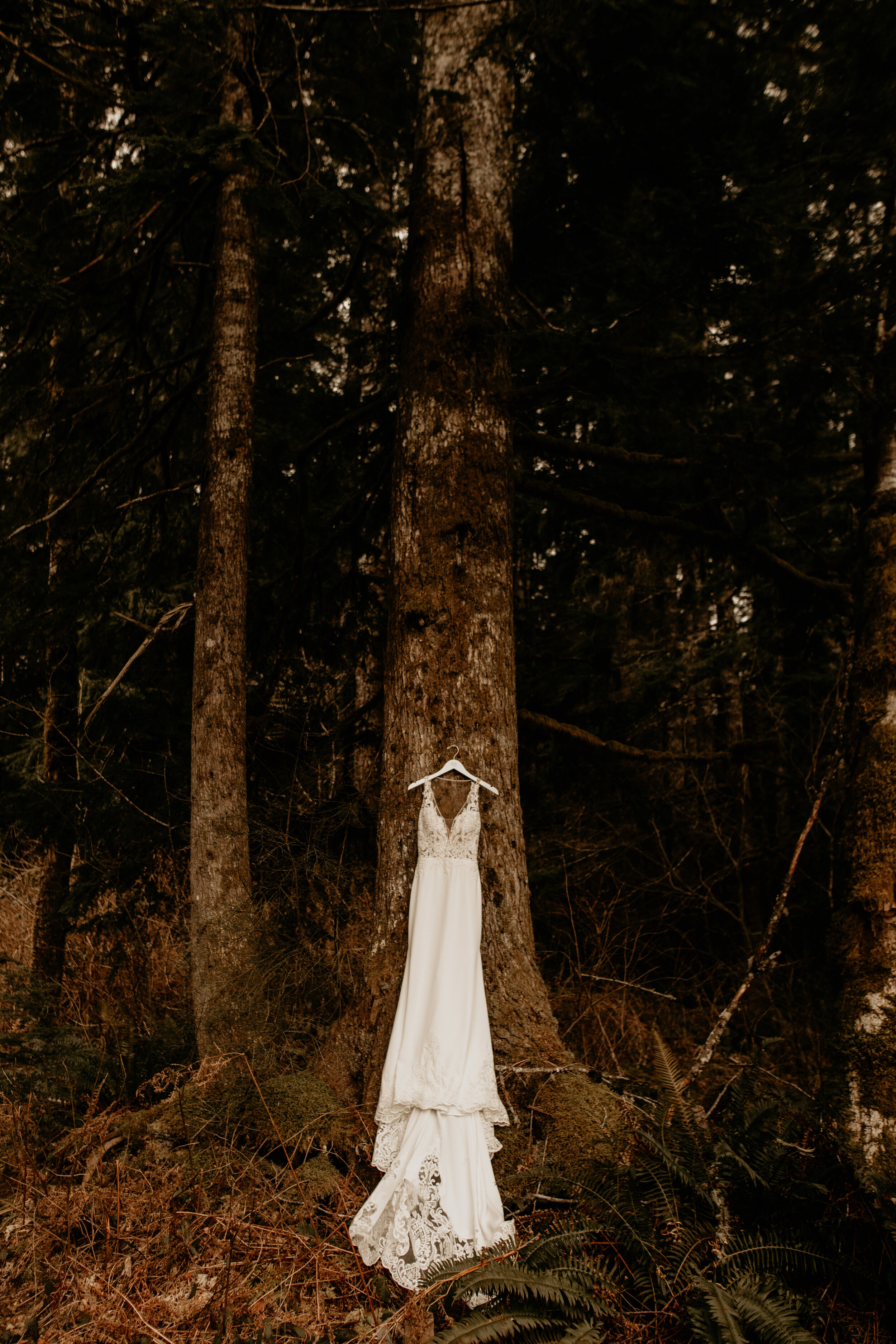 North Cascades Diablo Lake elopement