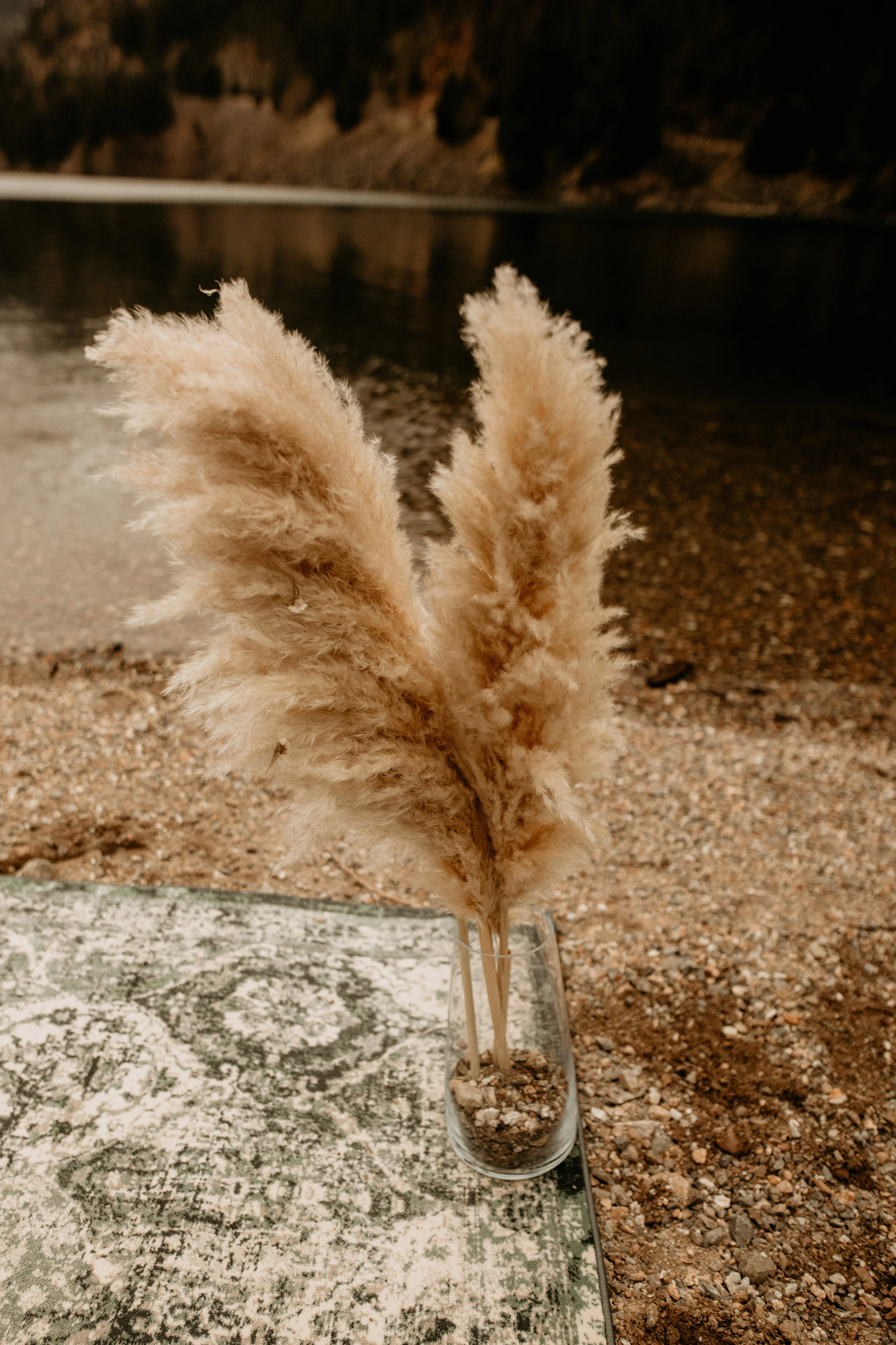 North cascades elopement - diablo lake elopement - Seattle elopement photographer - diablo lake photographer - north cascades elopement photographer - Seattle wedding photographer - cute couple - elope instead - breeanna lasher photographer