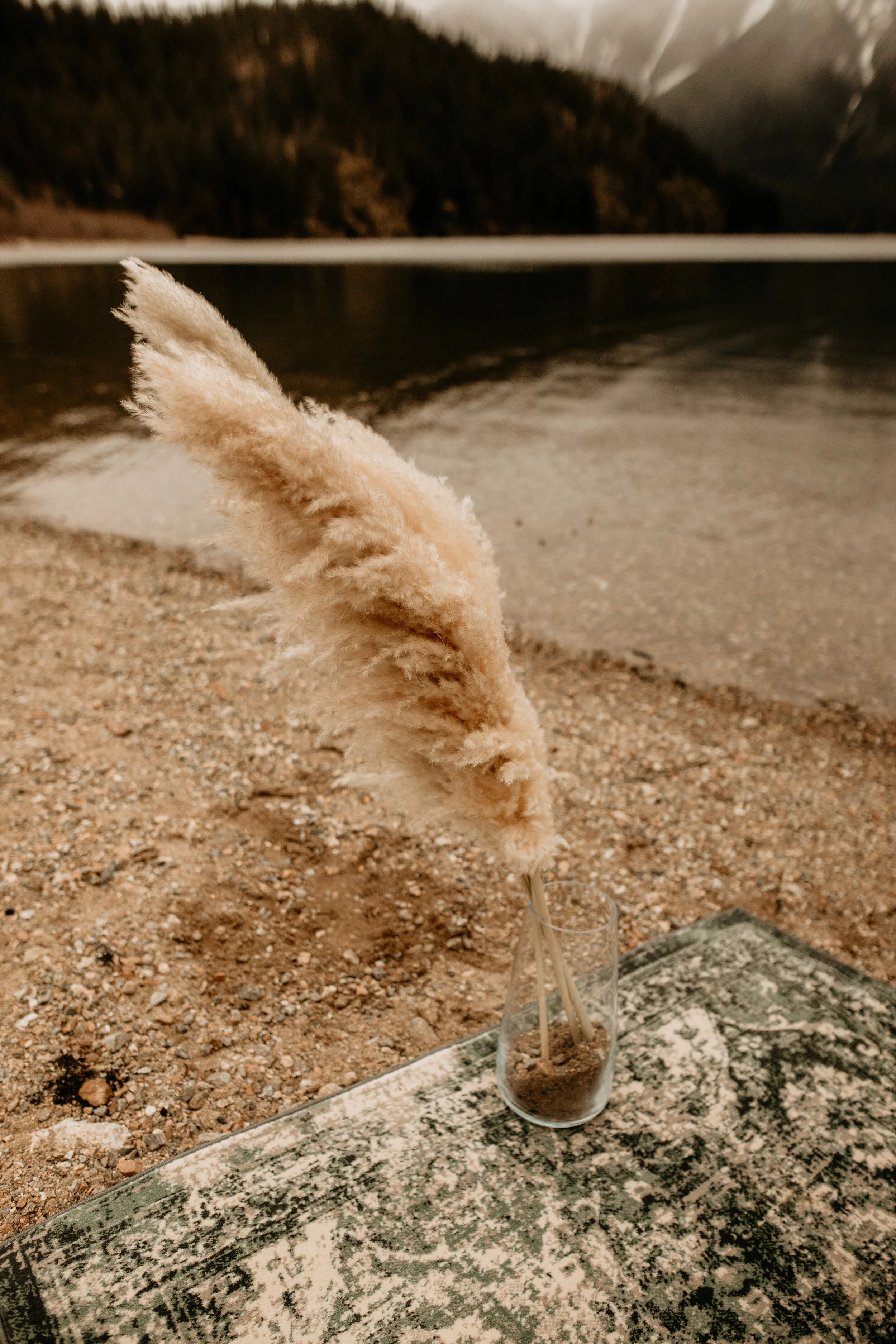 North cascades elopement - diablo lake elopement - Seattle elopement photographer - diablo lake photographer - north cascades elopement photographer - Seattle wedding photographer - cute couple - elope instead - breeanna lasher photographer