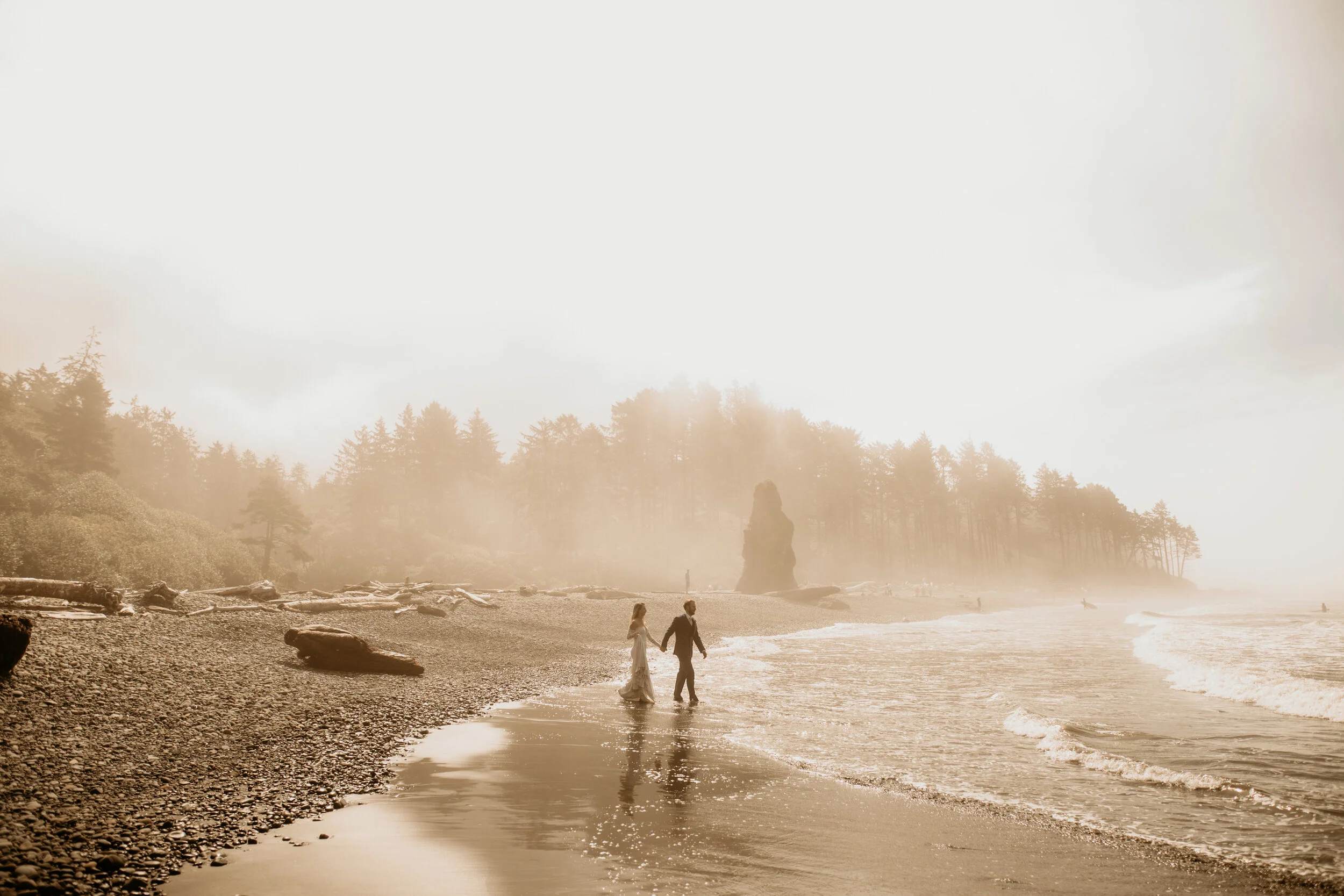Hoh-Rainforest-Elopement-Photographer-BreeAnna-Lasher-329.jpg