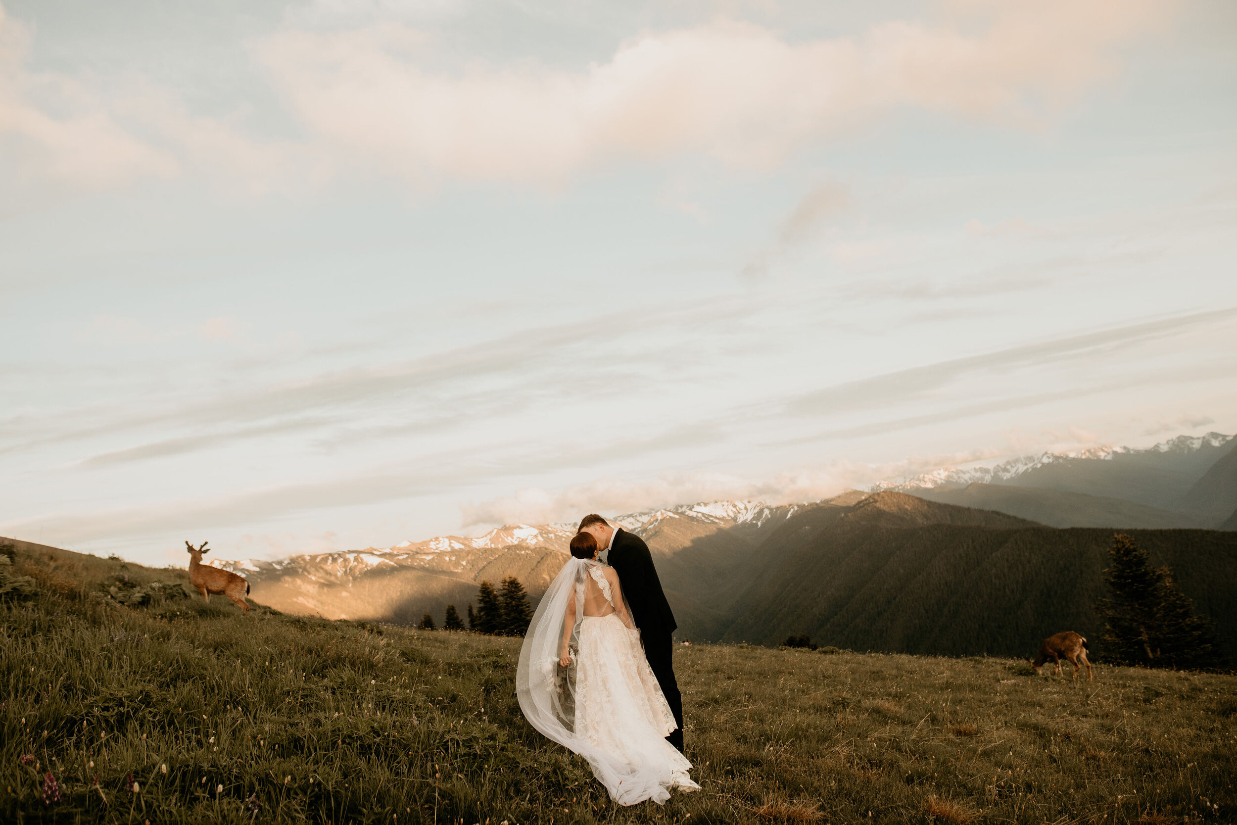 olympic-national-park-hurricane-rdige-elopement-photographer-BreeAnna-Lasher-151.jpg