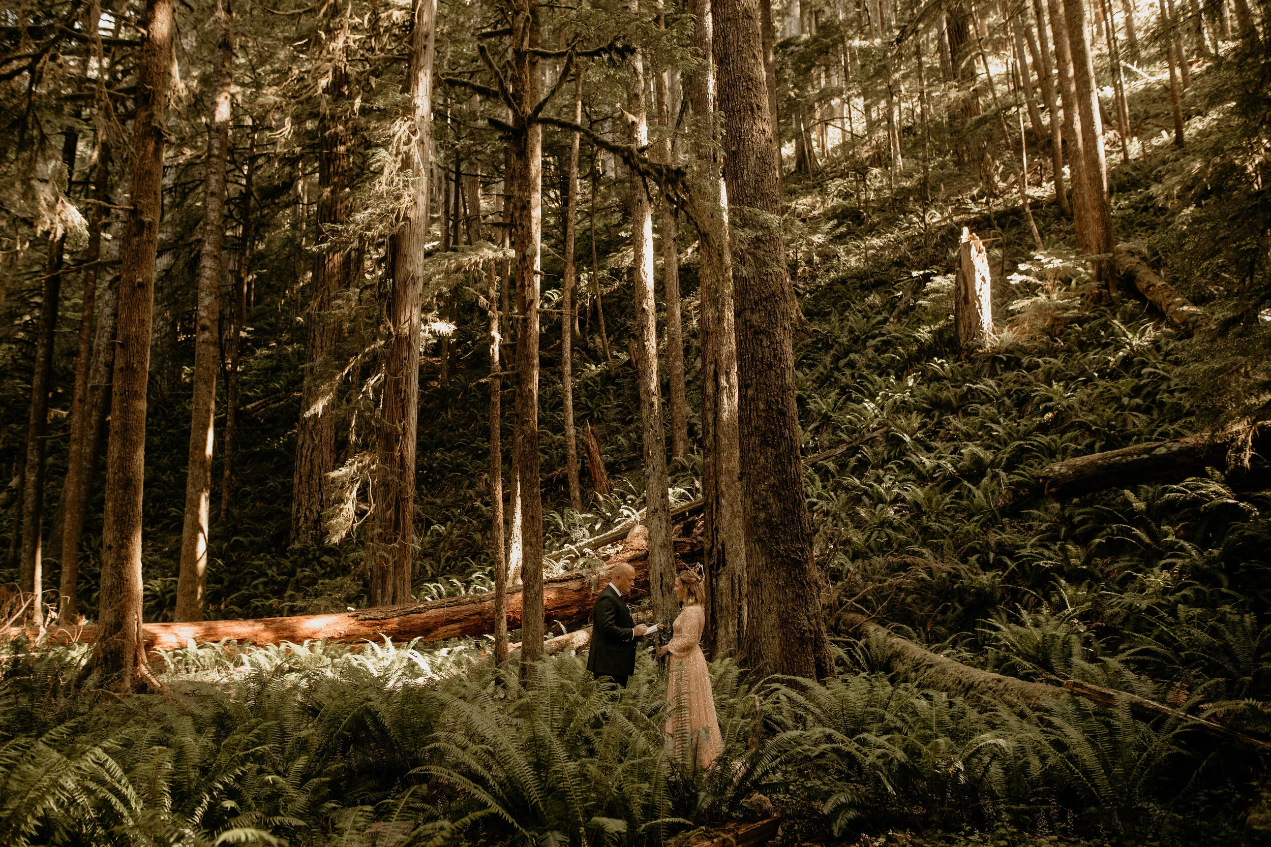 Screen Shot 2020-07-20 at 2.57.21 PM.png