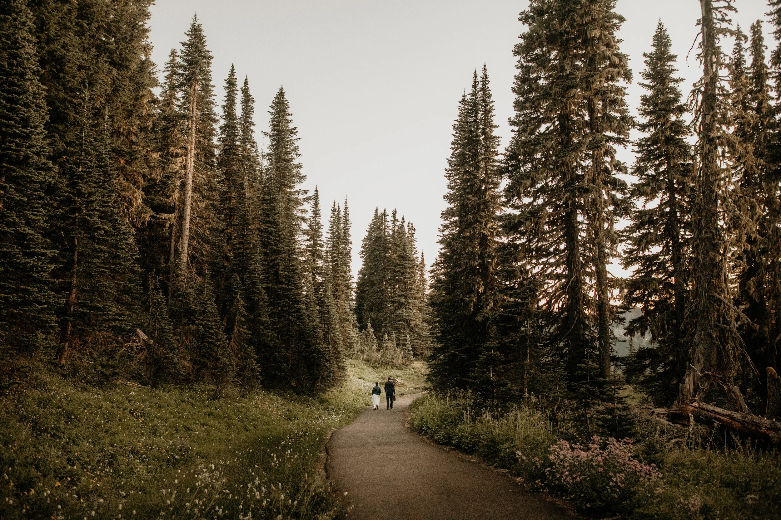Mt rainier elopement_mt rainier elopement photographer_mt rainier_mt rainier adventure elopement_mt rainier wedding_mt rainier wedding photographer_mountain elopement_mt. Rainier elopement_breeanna lasher photography