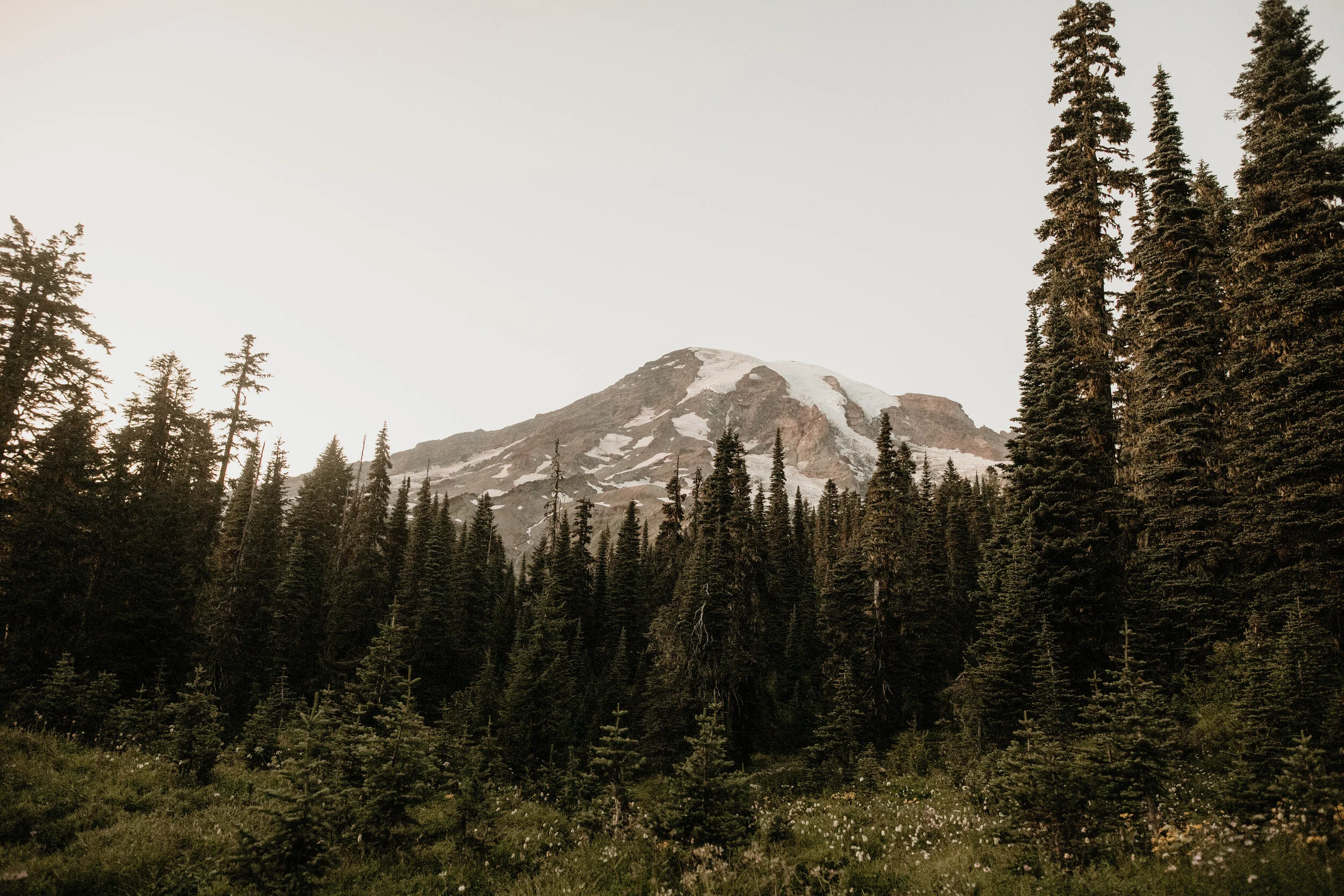 Mt rainier elopement_mt rainier elopement photographer_mt rainier_mt rainier adventure elopement_mt rainier wedding_mt rainier wedding photographer_mountain elopement_mt. Rainier elopement_breeanna lasher photography
